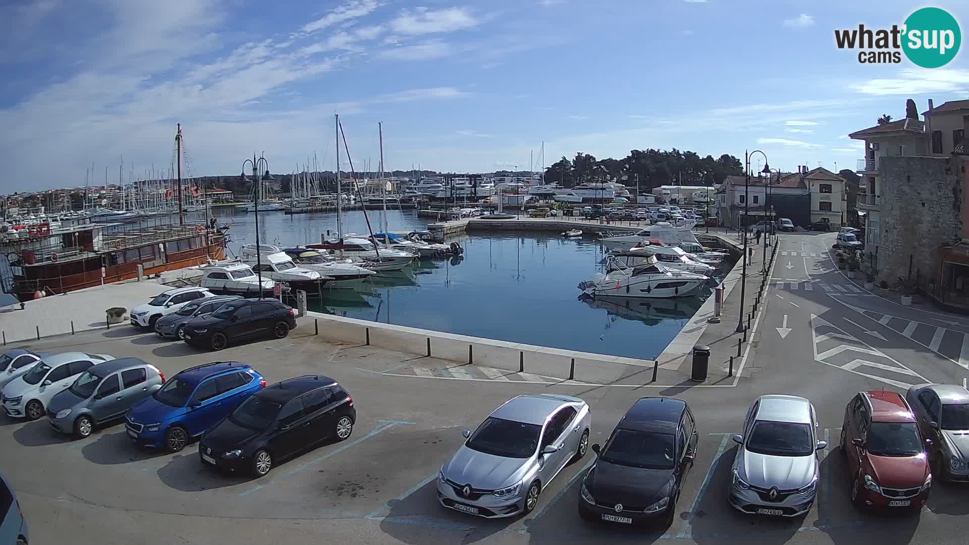 Novigrad | Porporela marina