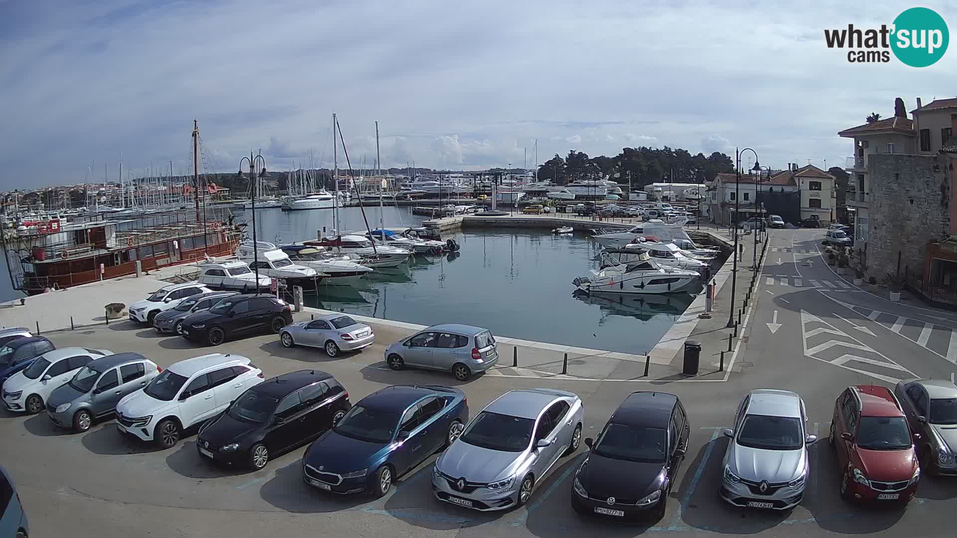 Novigrad | Porporela marina