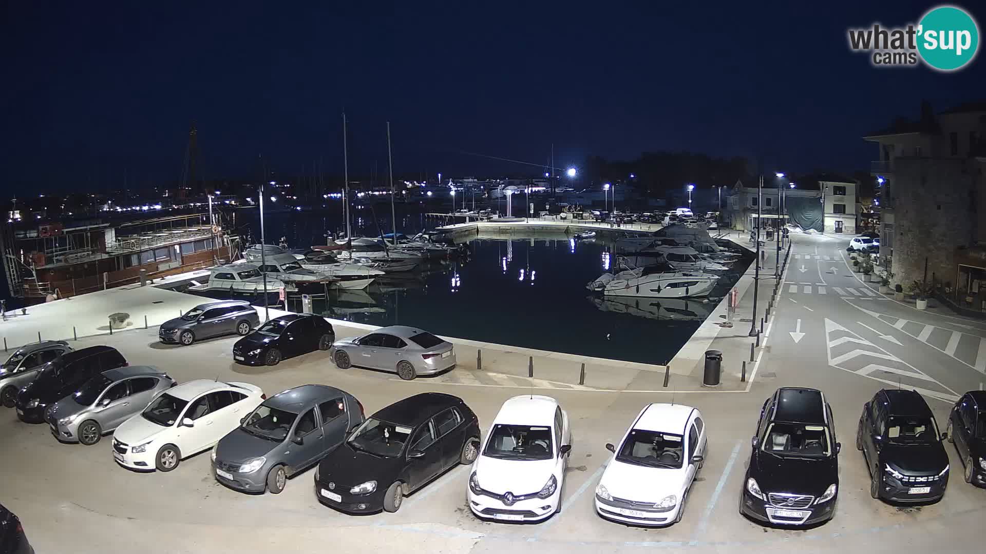 Novigrad | Porporela marina