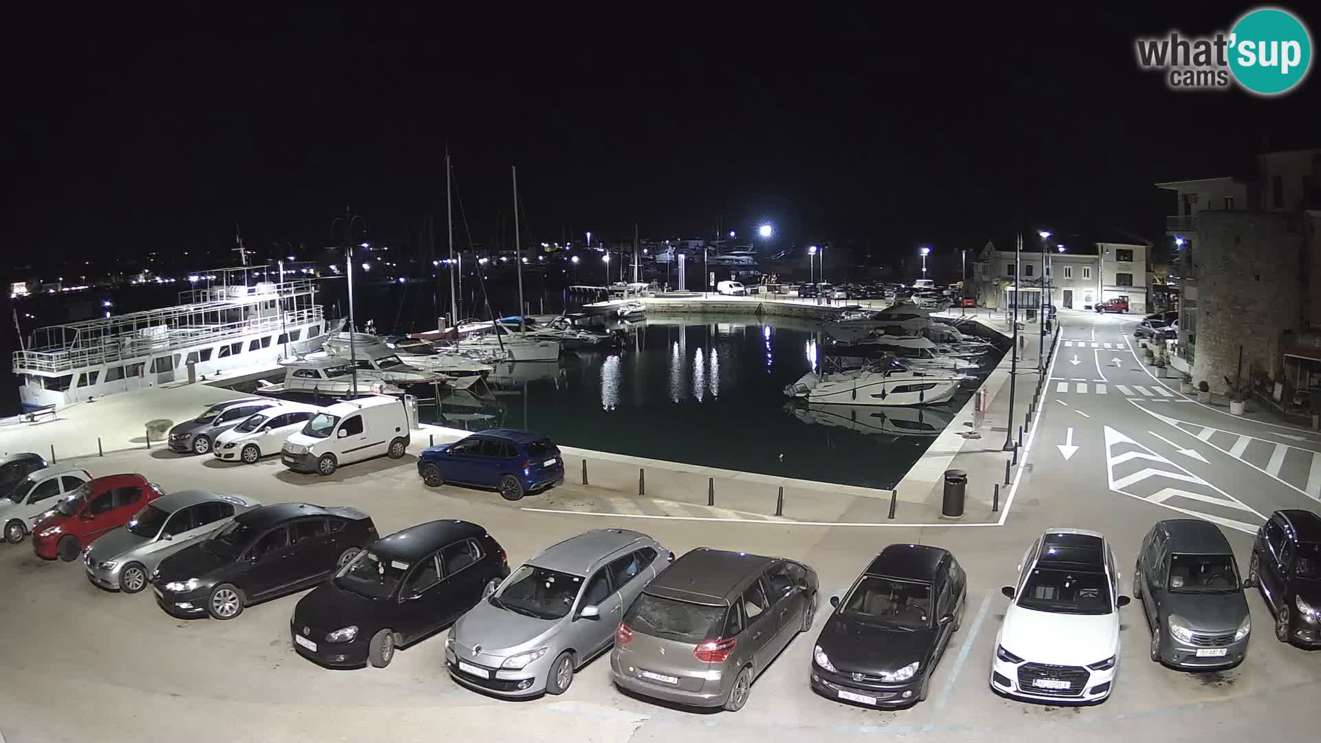 Novigrad | Porporela marina