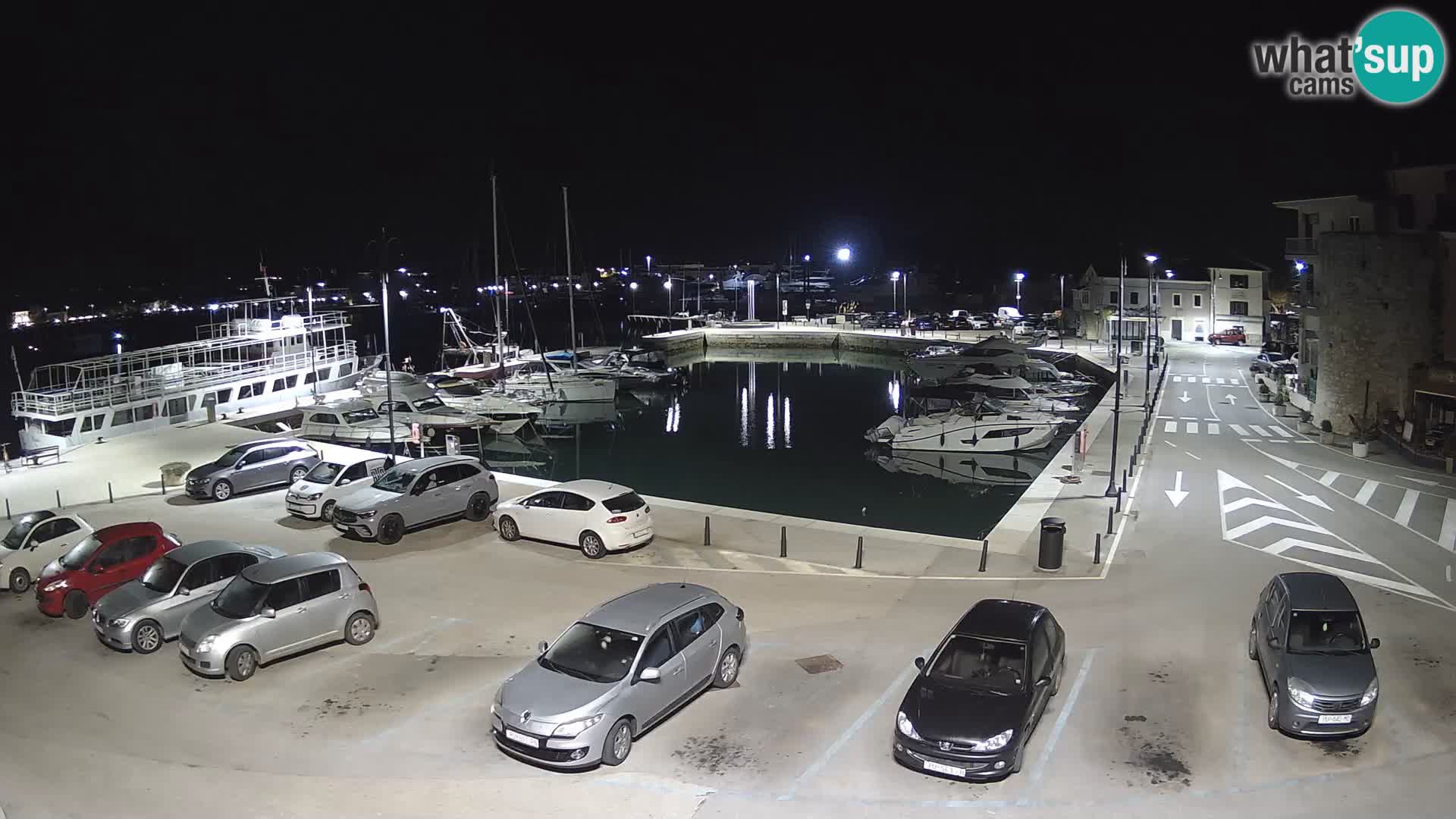 Novigrad | Porporela marina