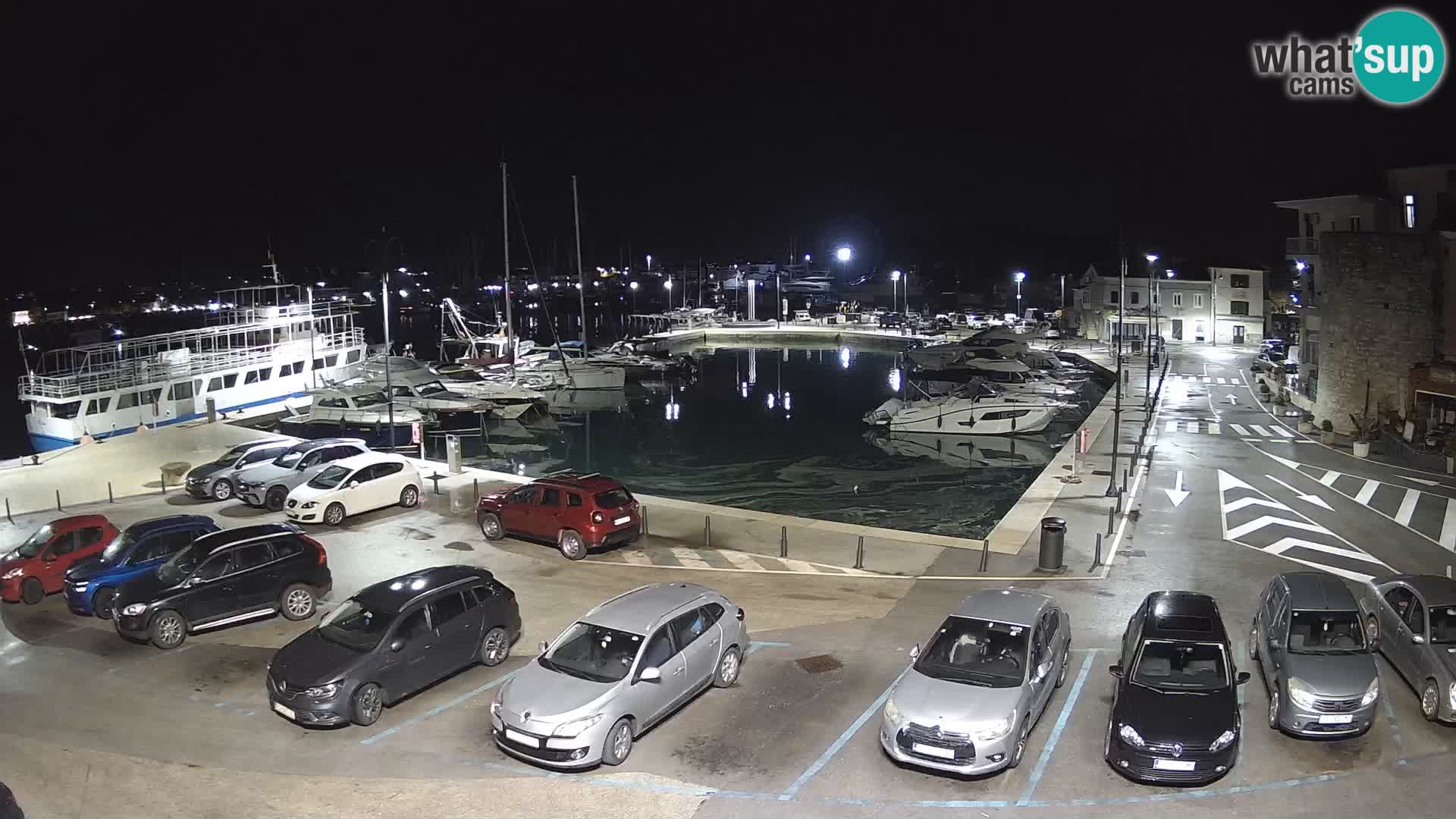 Novigrad | Porporela marina