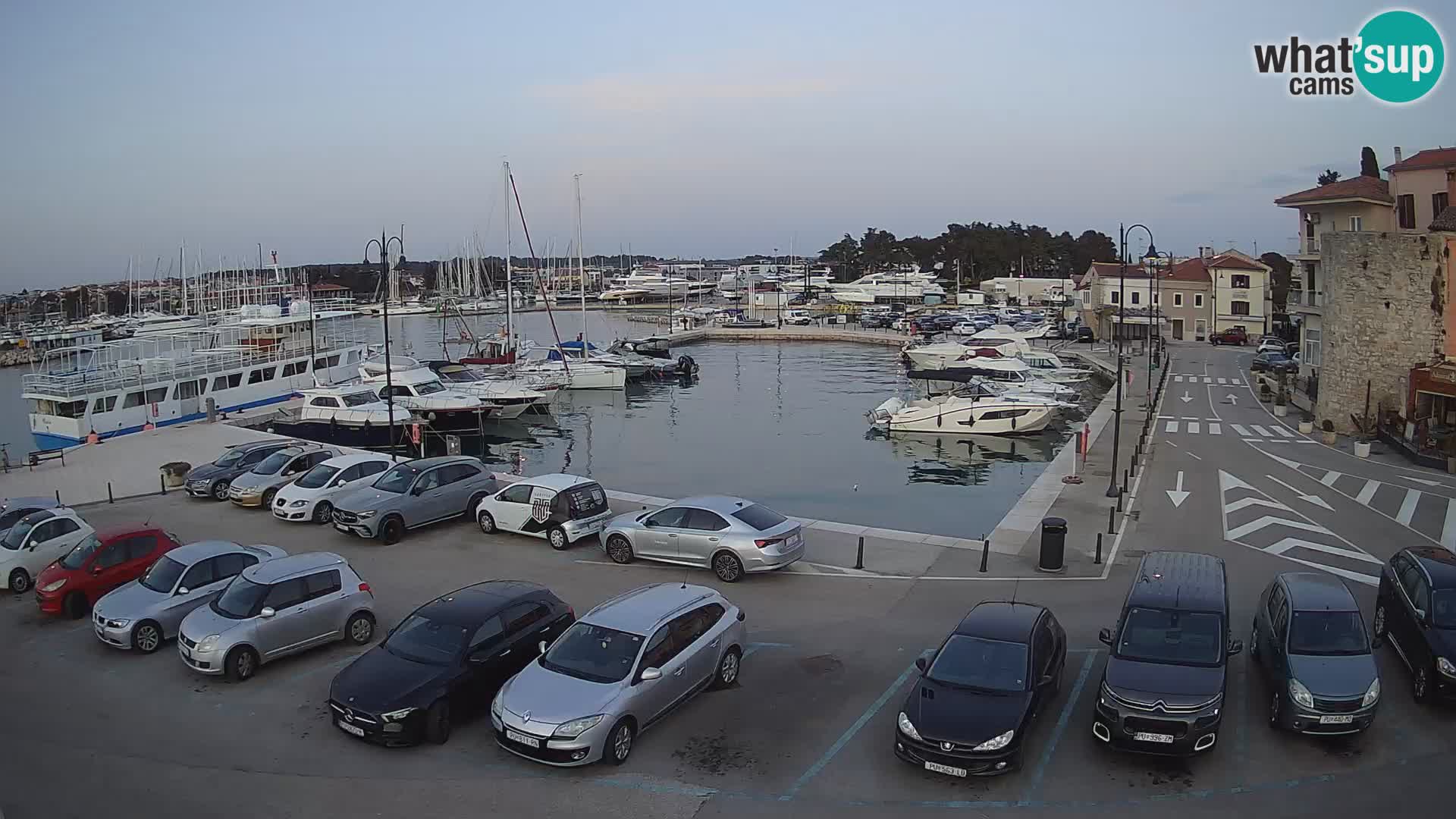 Novigrad | Porporela marina