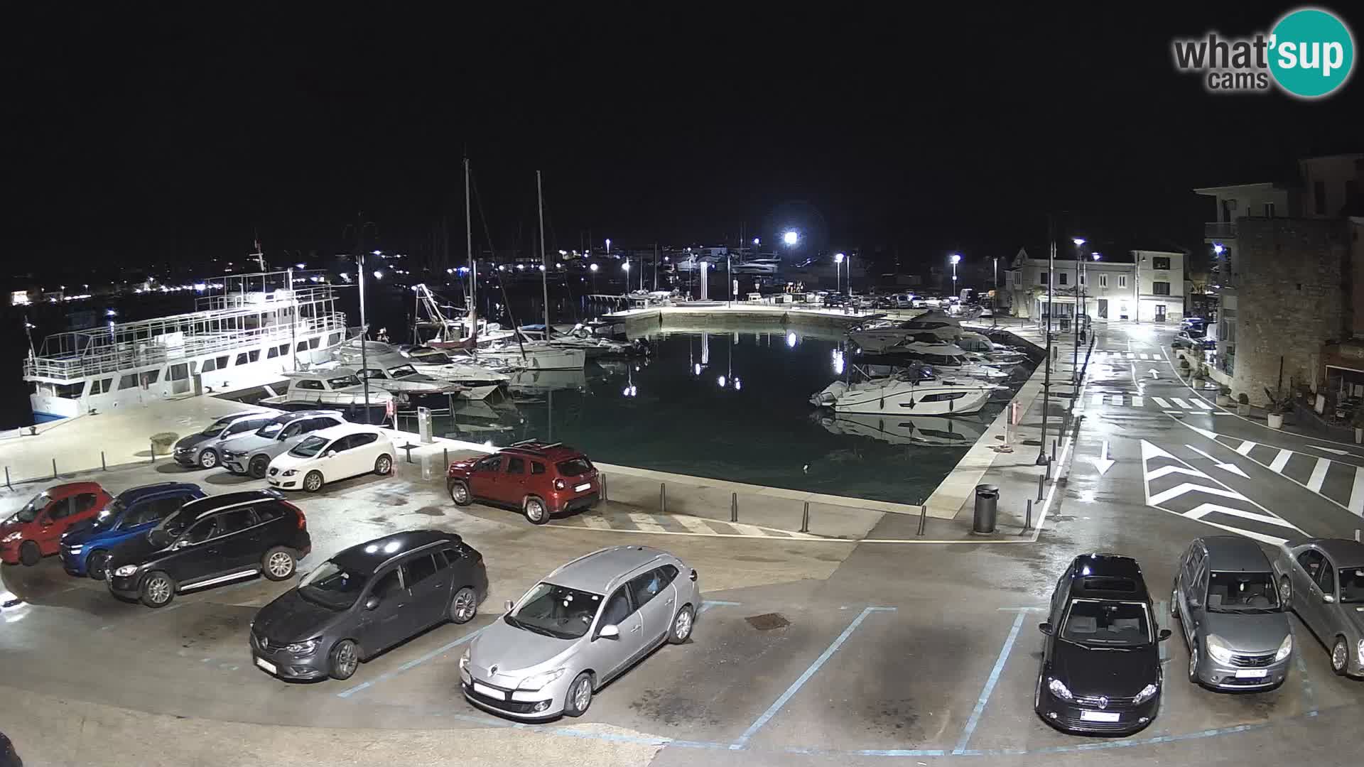 Novigrad | Porporela marina