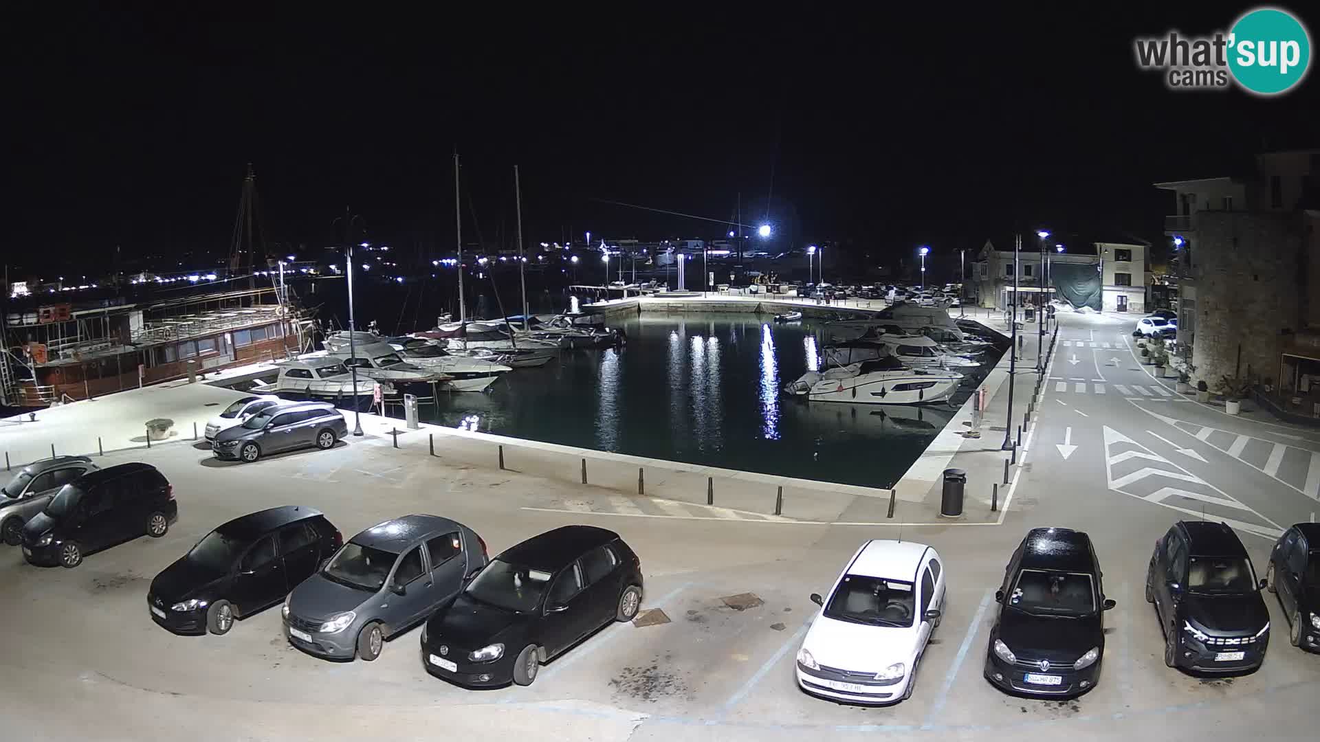 Novigrad | Porporela marina