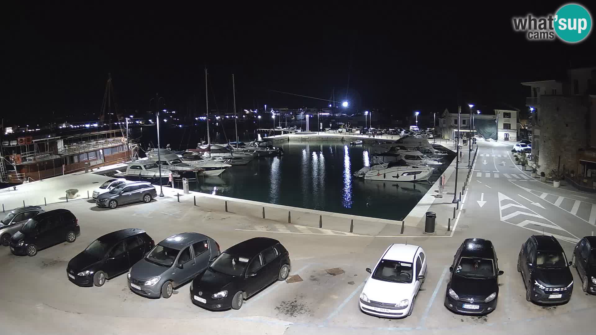 Novigrad | Porporela marina