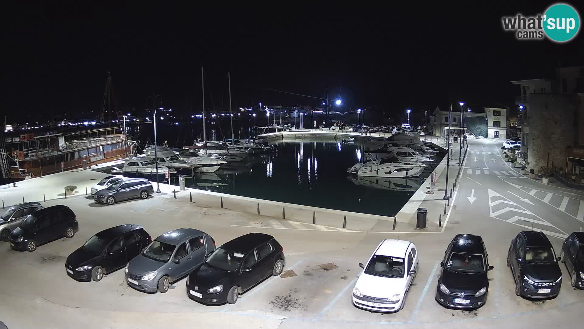 Novigrad | Porporela marina