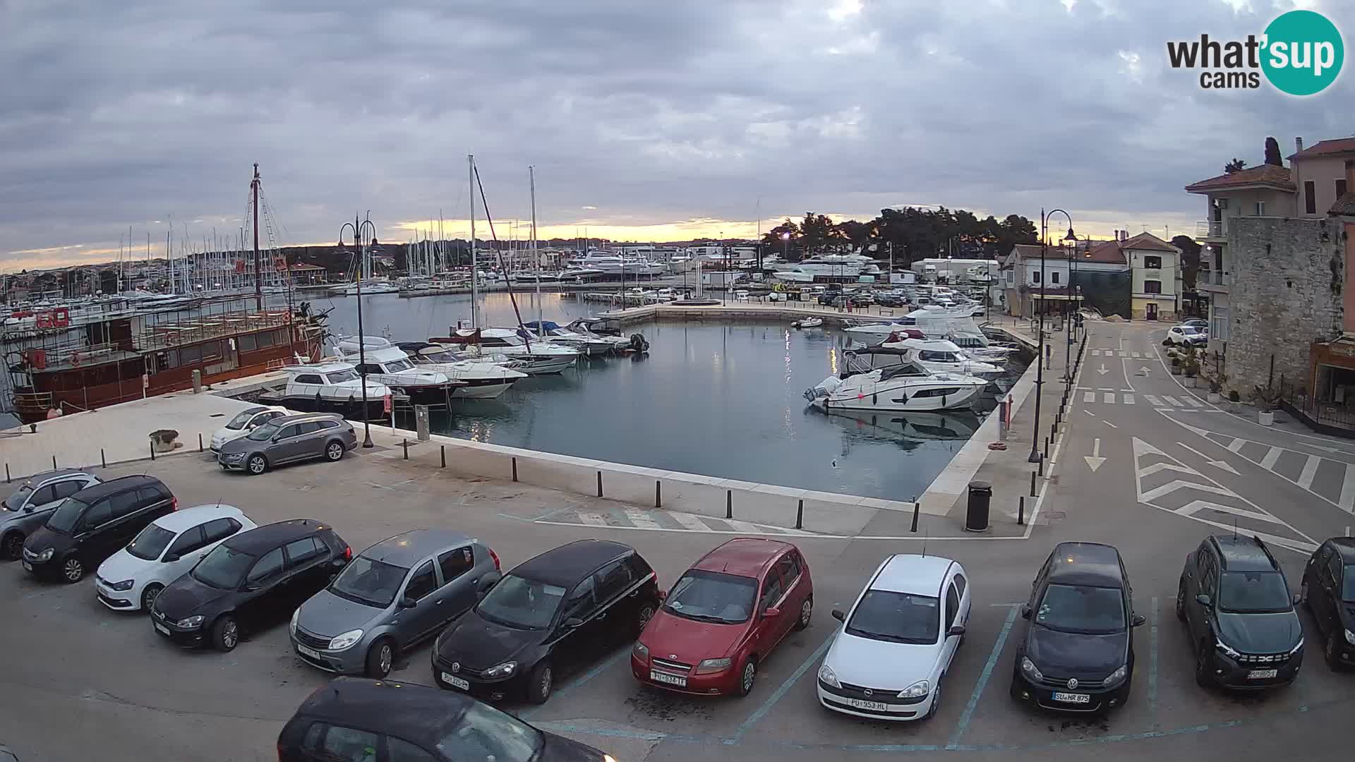 Novigrad | Porporela marina