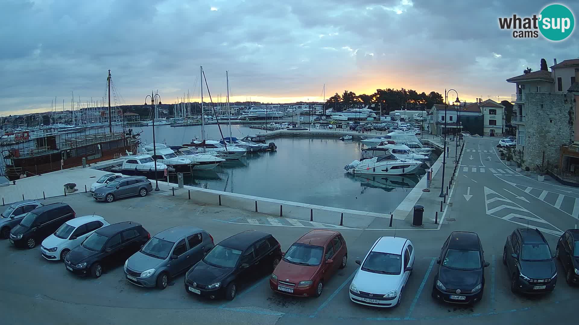 Novigrad | Porporela marina