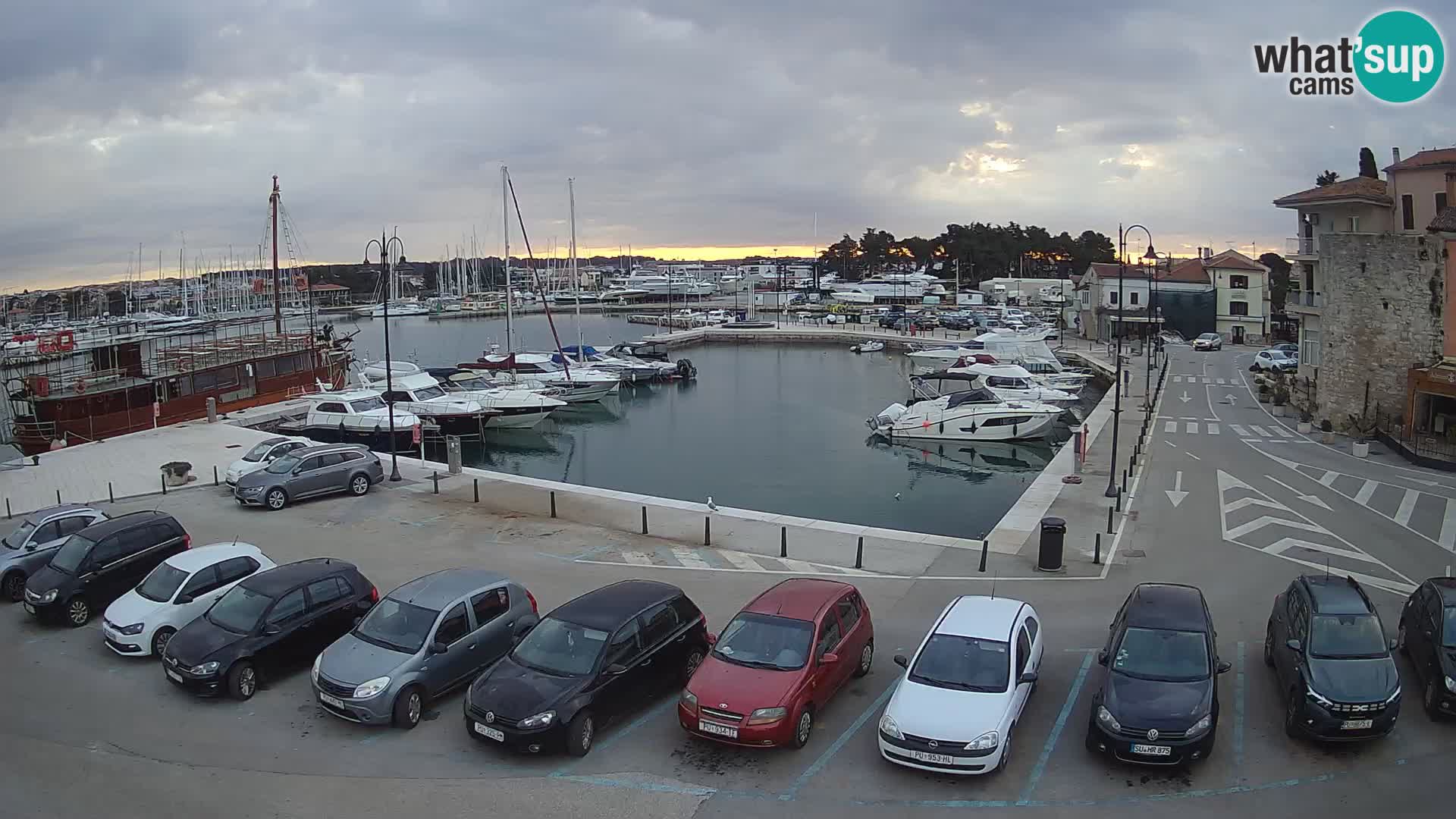 Novigrad | Porporela marina