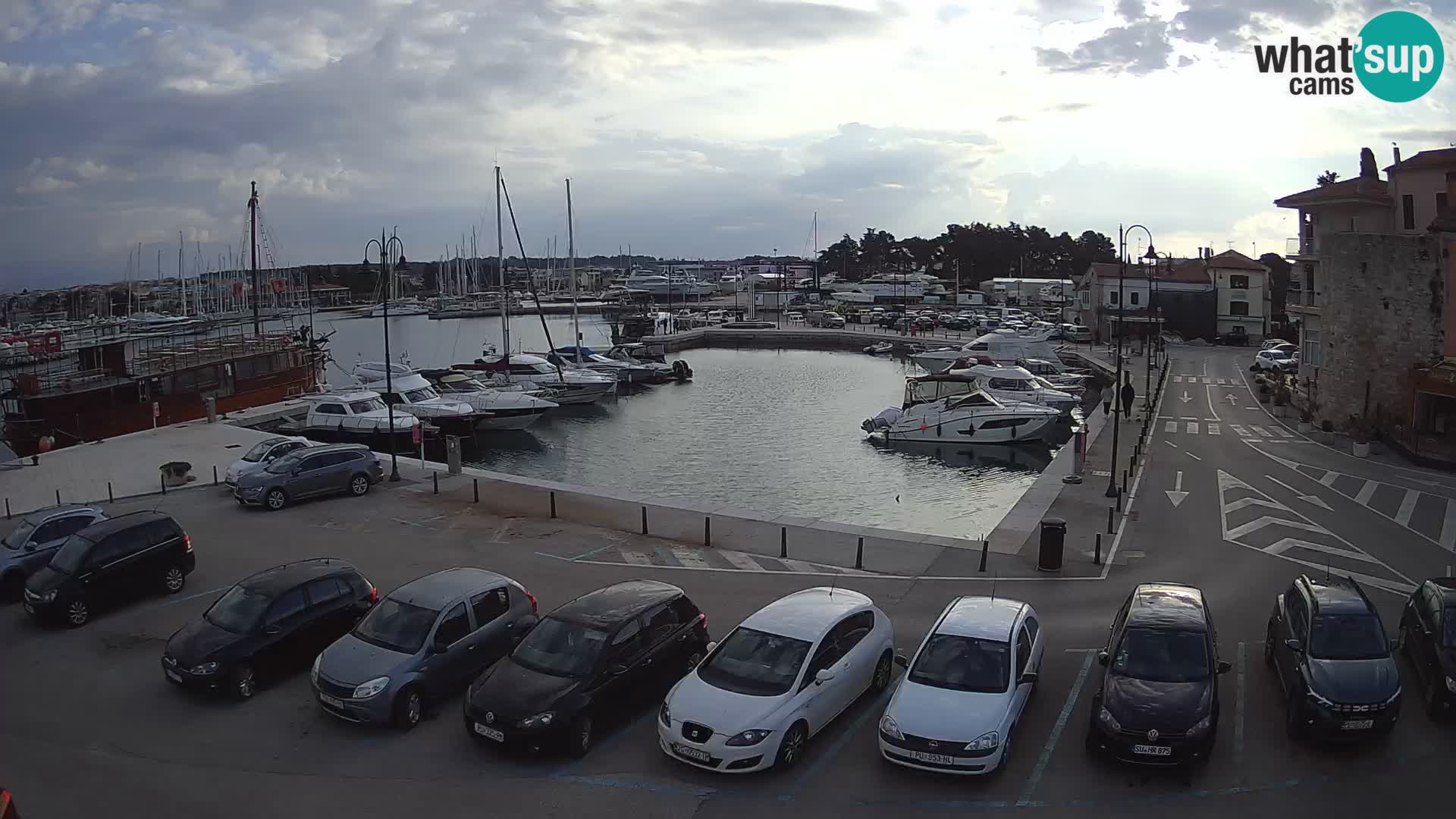 Novigrad | Porporela marina
