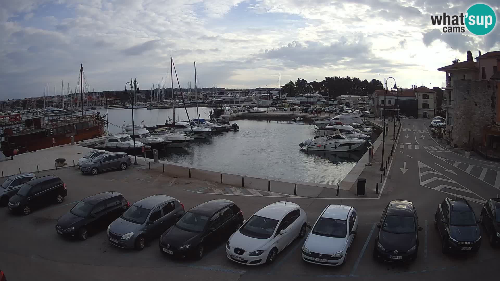 Novigrad | Porporela marina