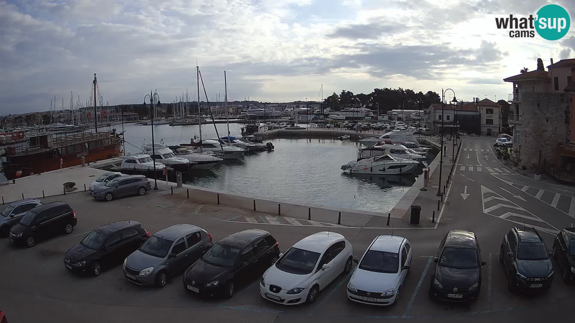 Novigrad | Porporela marina