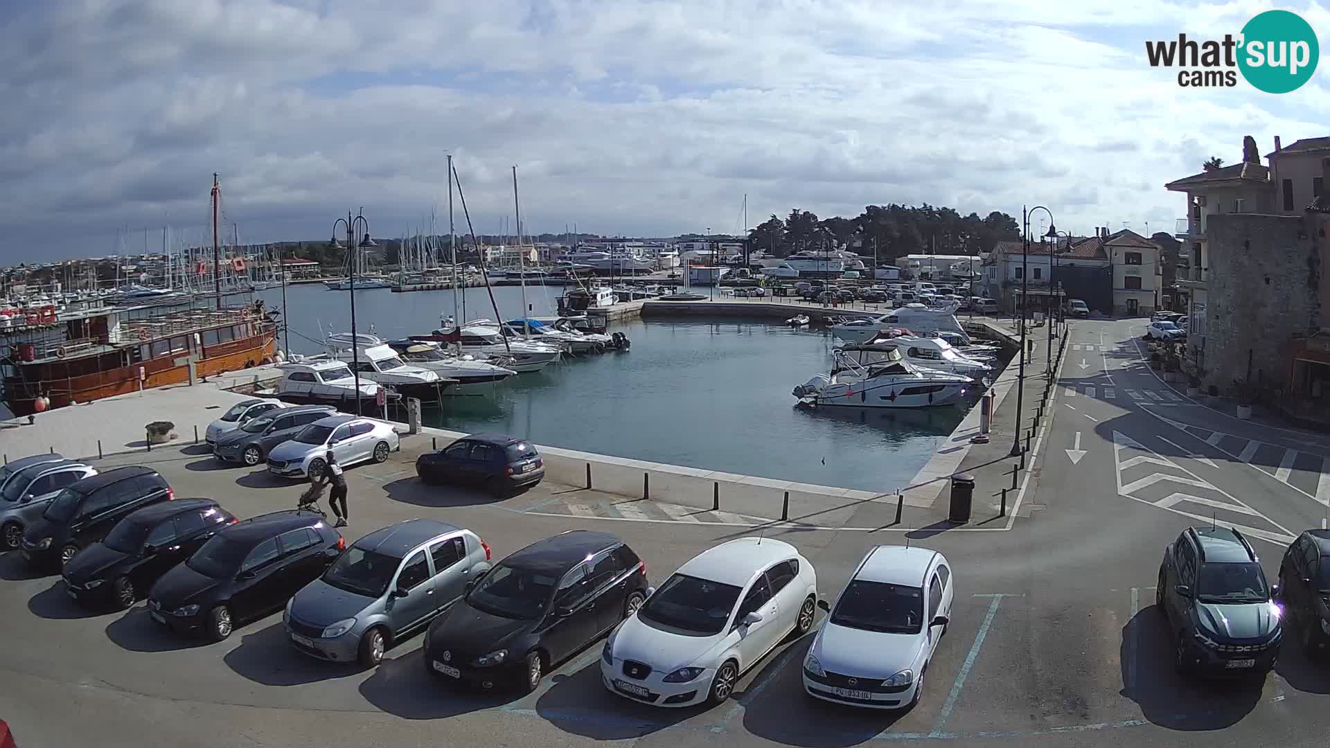 Novigrad | Porporela marina