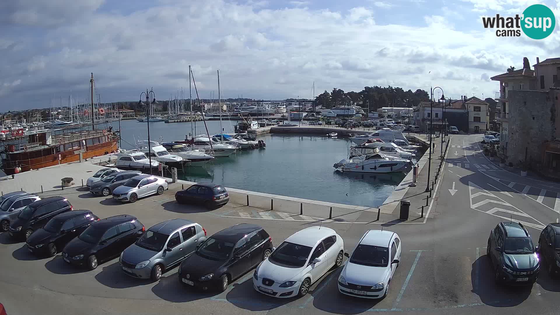 Novigrad | Porporela marina