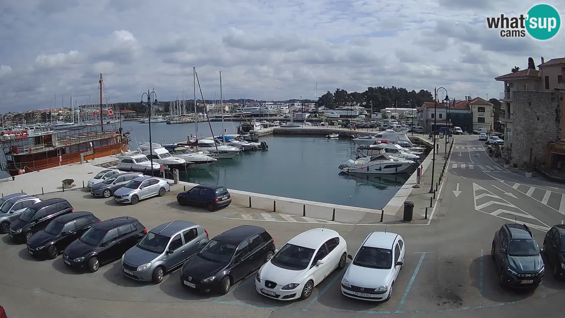 Novigrad | Porporela marina