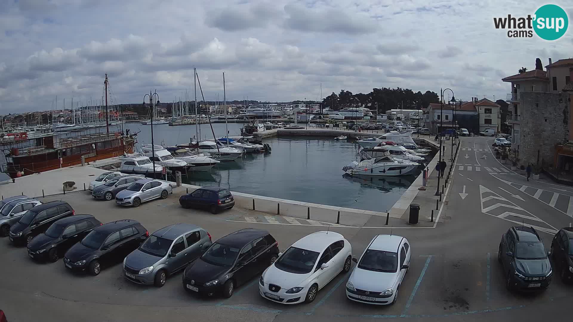 Novigrad | Porporela marina