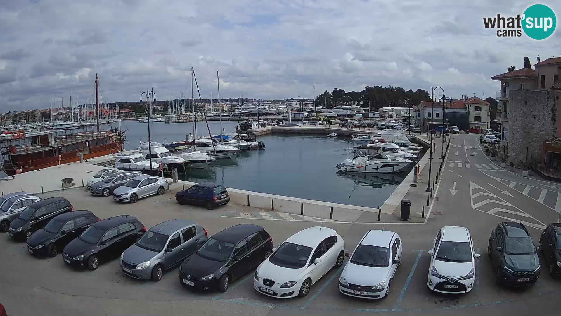 Novigrad | Porporela marina