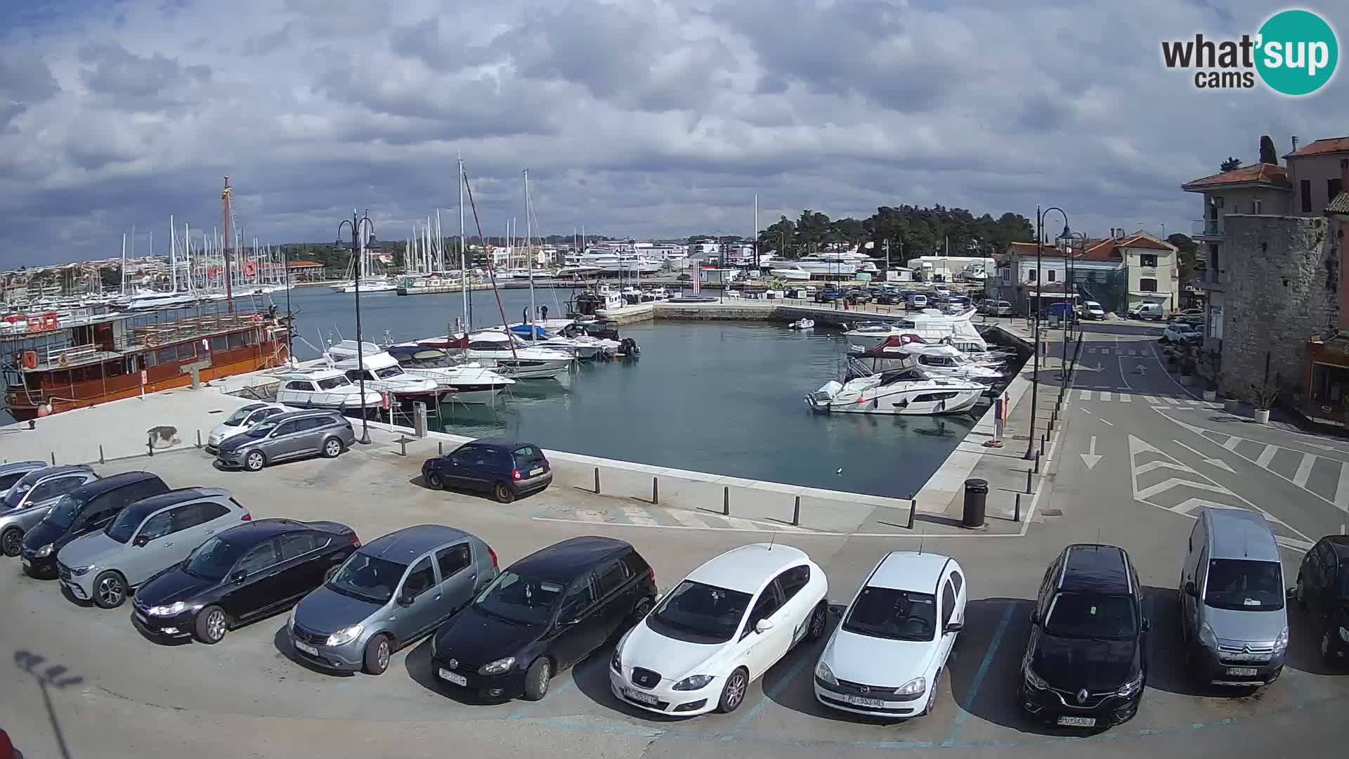 Novigrad | Porporela marina