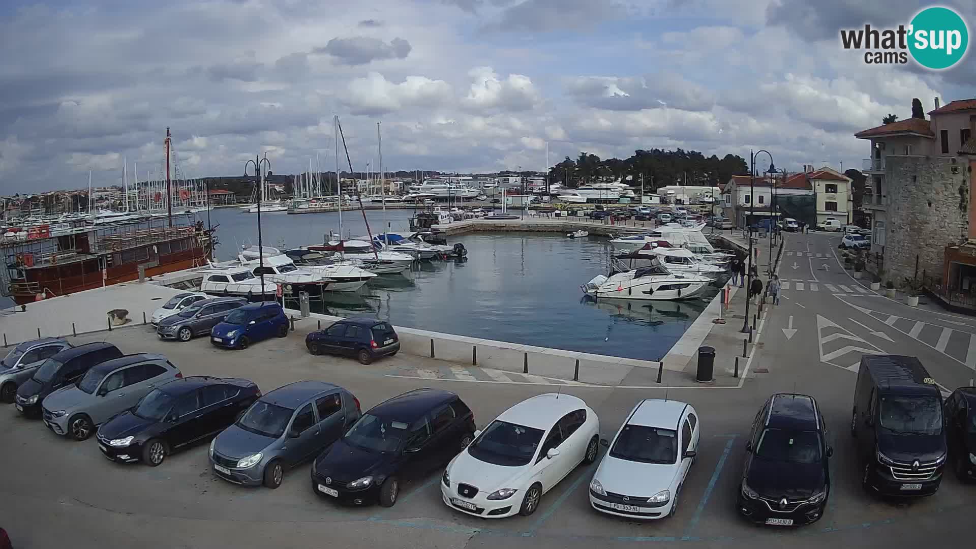 Novigrad | Porporela marina