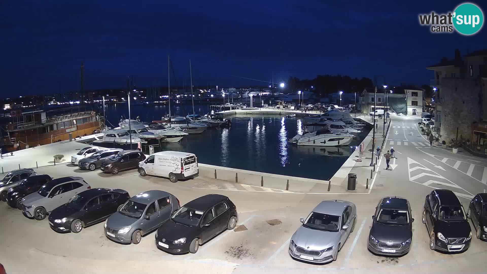 Novigrad | Porporela marina