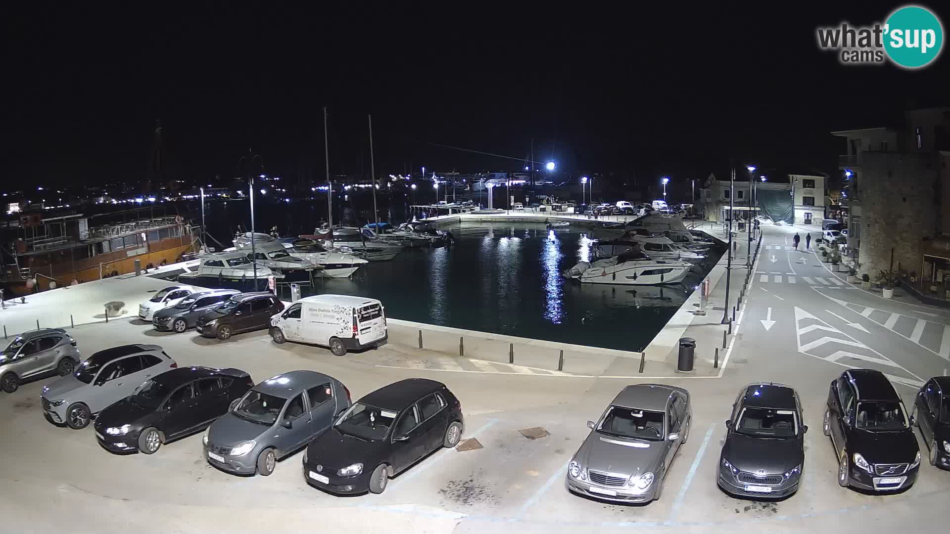 Novigrad | Porporela marina