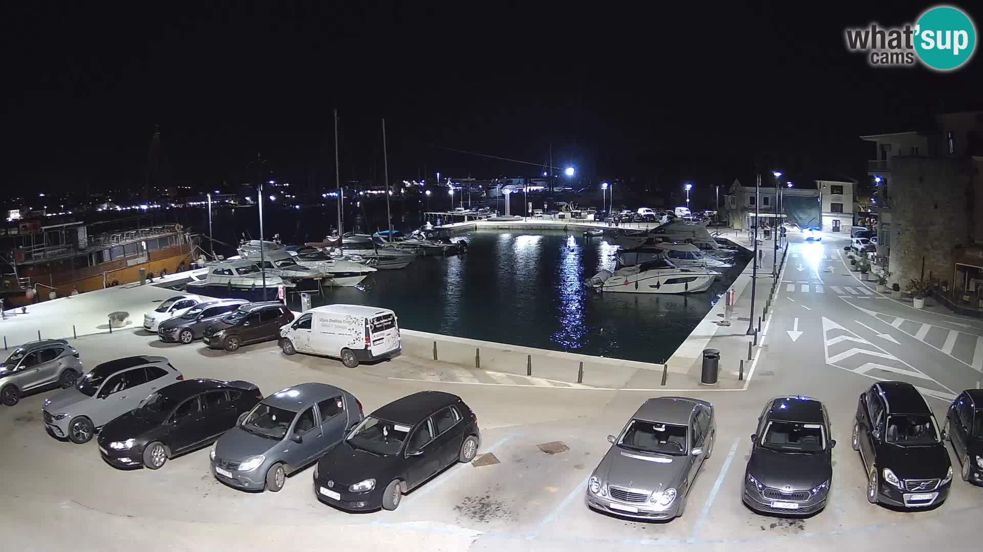 Novigrad | Porporela marina