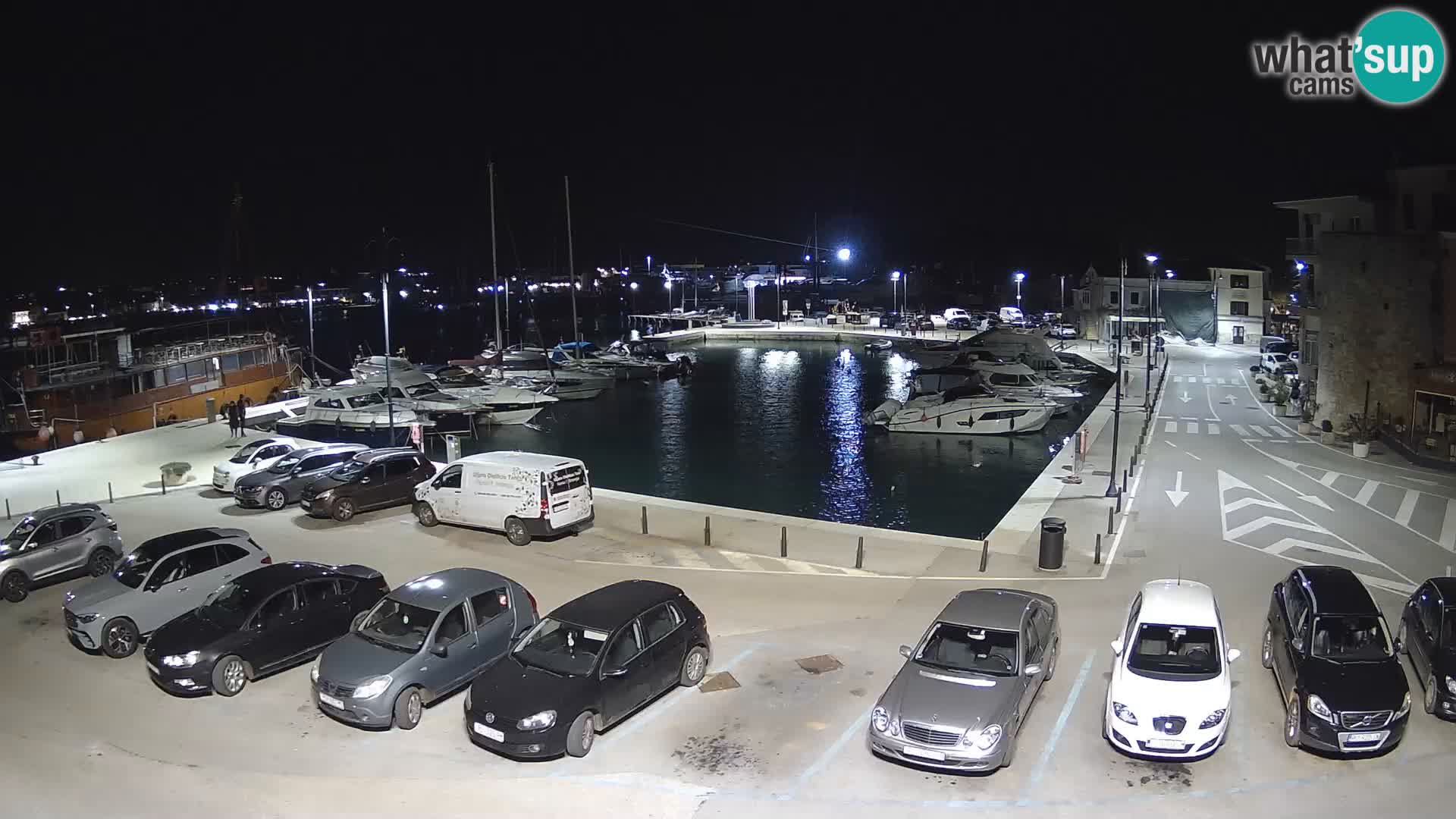 Novigrad | Porporela marina