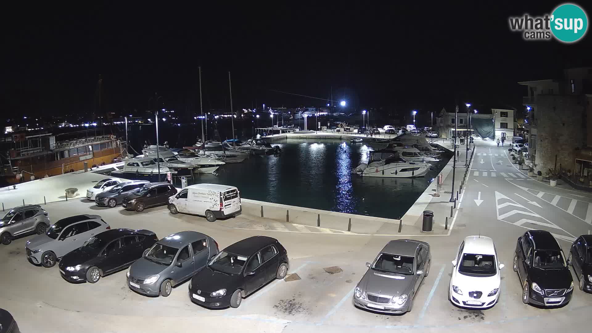 Novigrad | Porporela marina