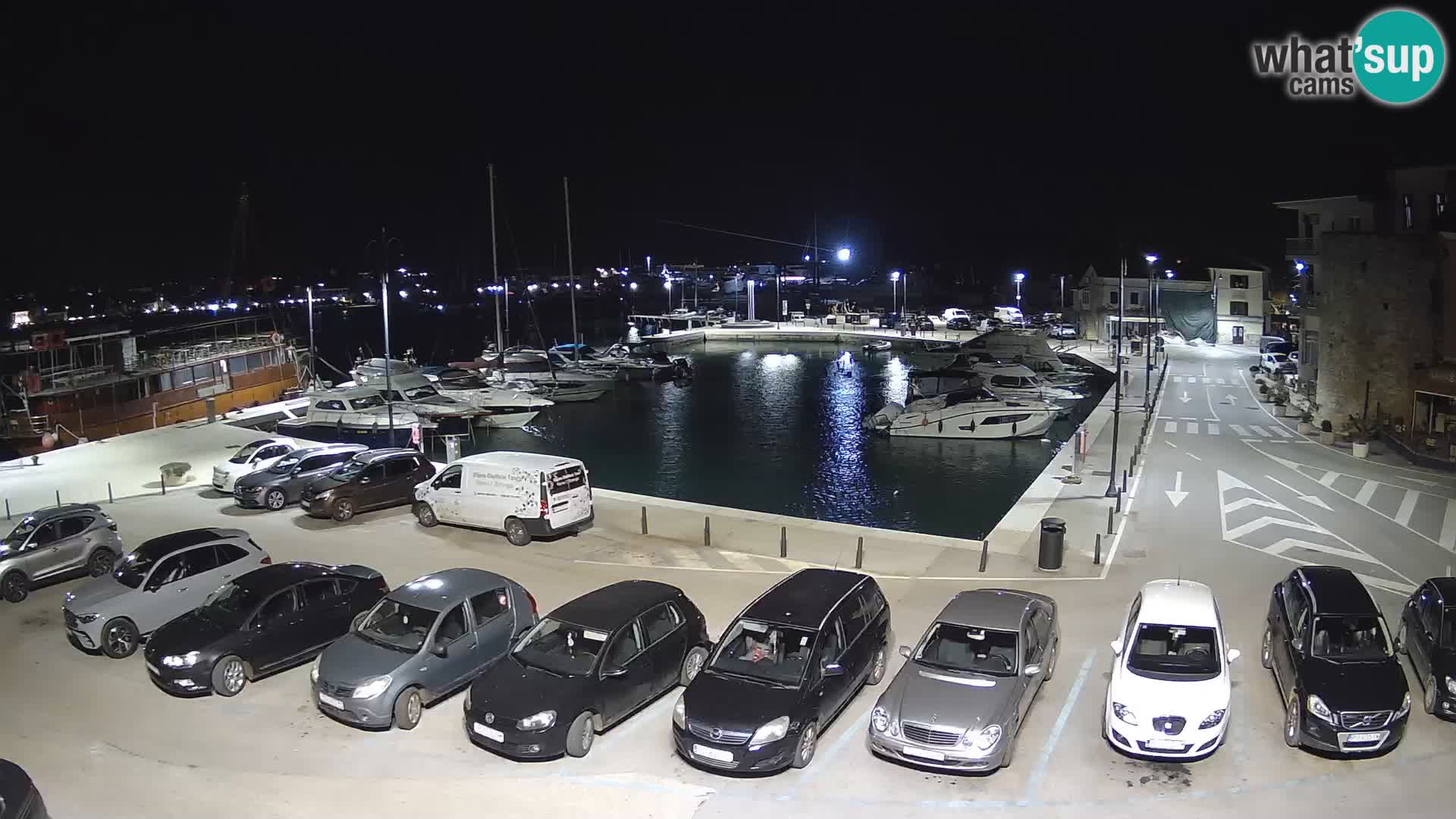 Novigrad | Porporela marina