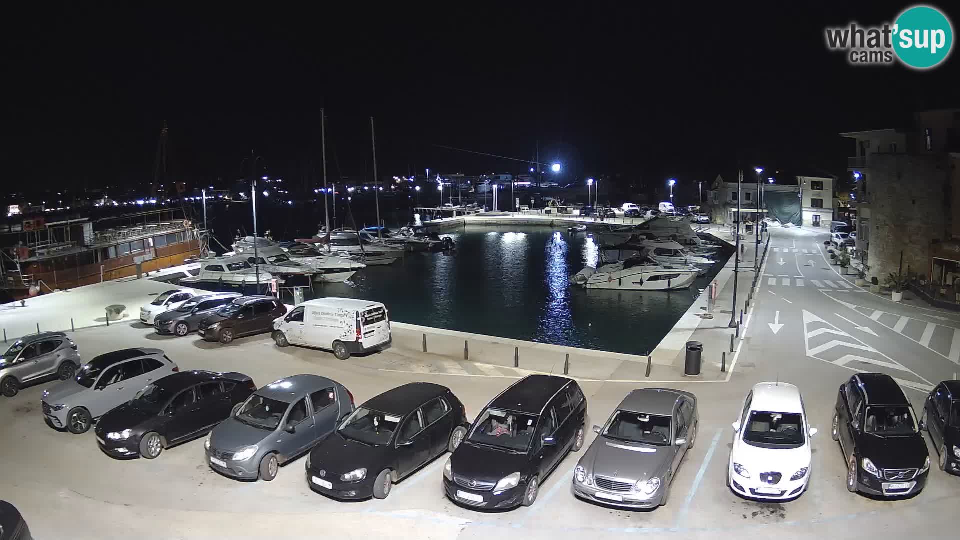 Novigrad | Porporela marina