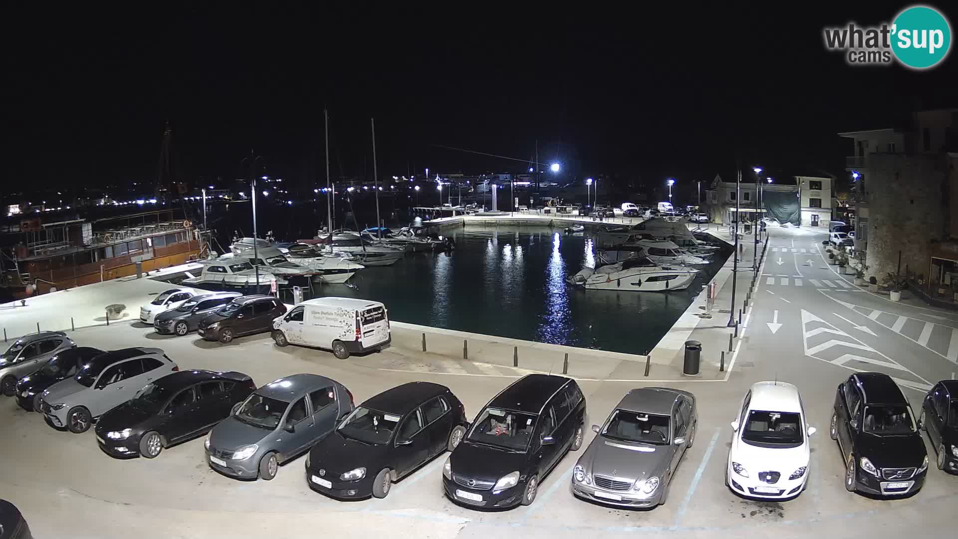 Novigrad | Porporela marina