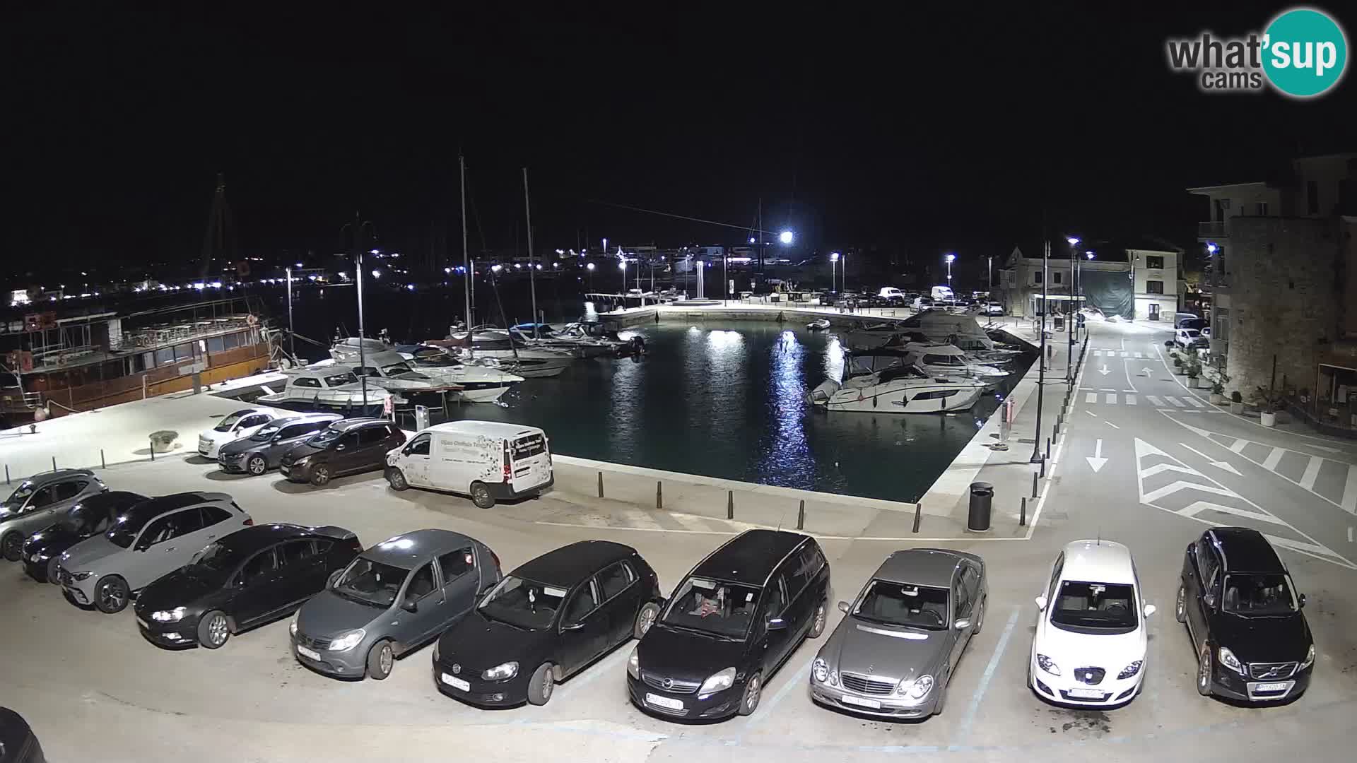 Novigrad | Porporela marina