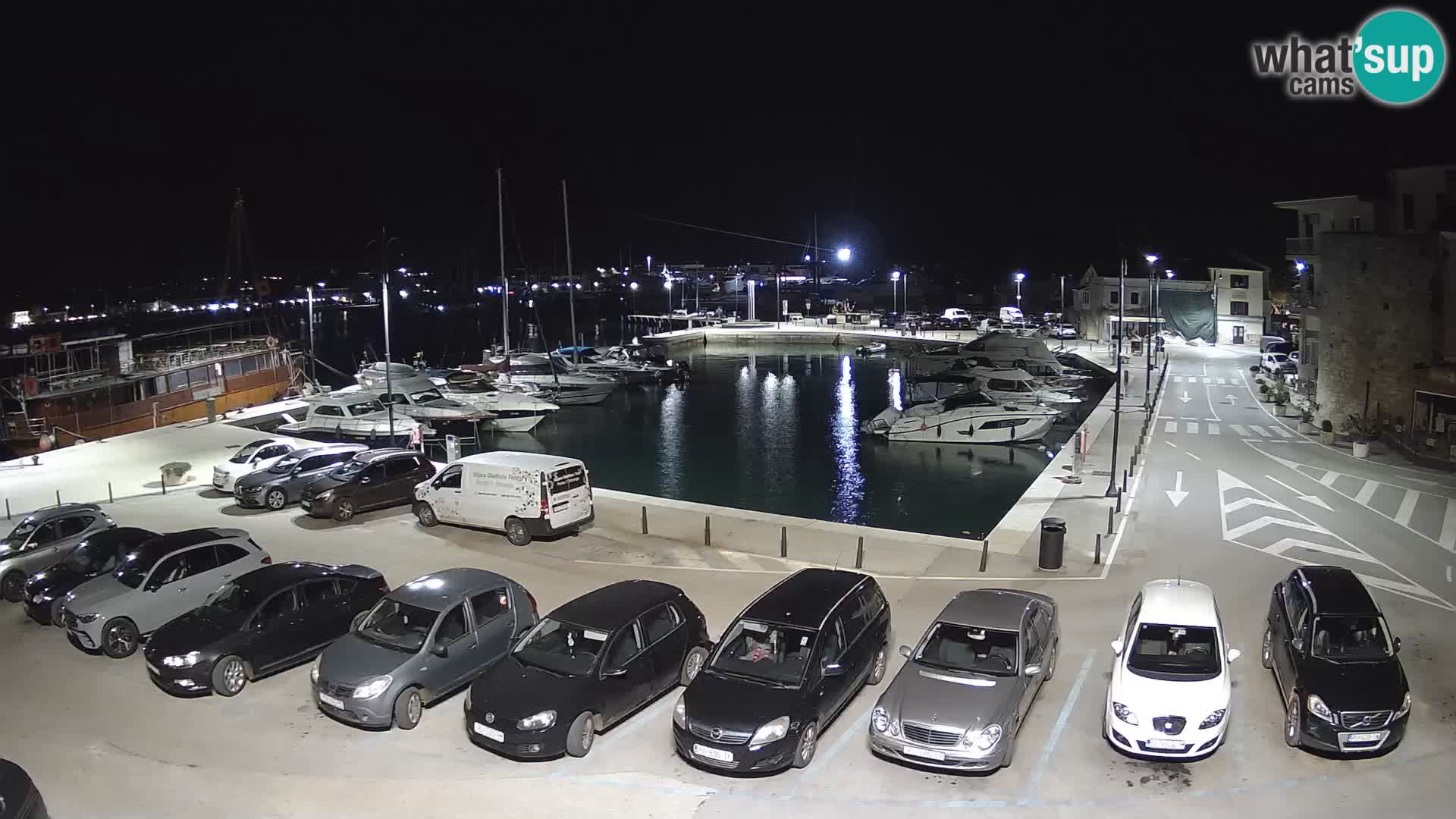 Novigrad | Porporela marina