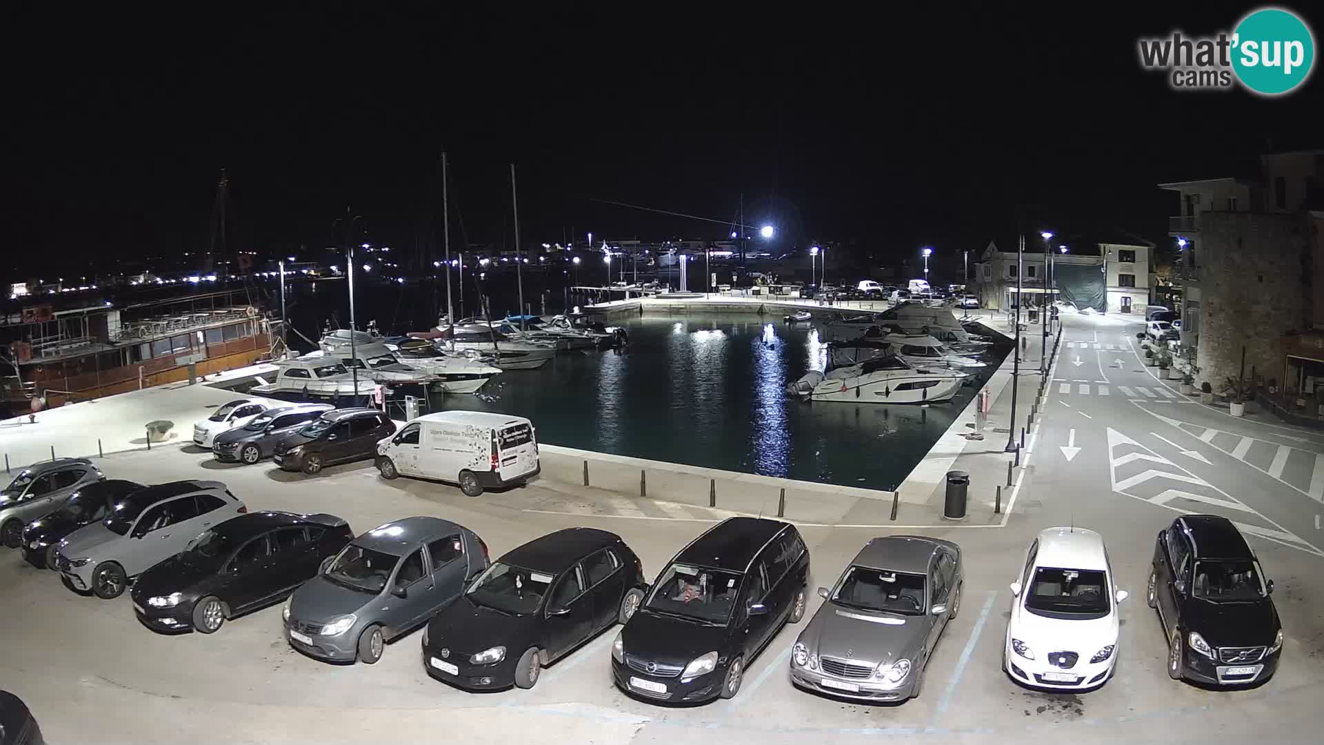 Novigrad | Porporela marina