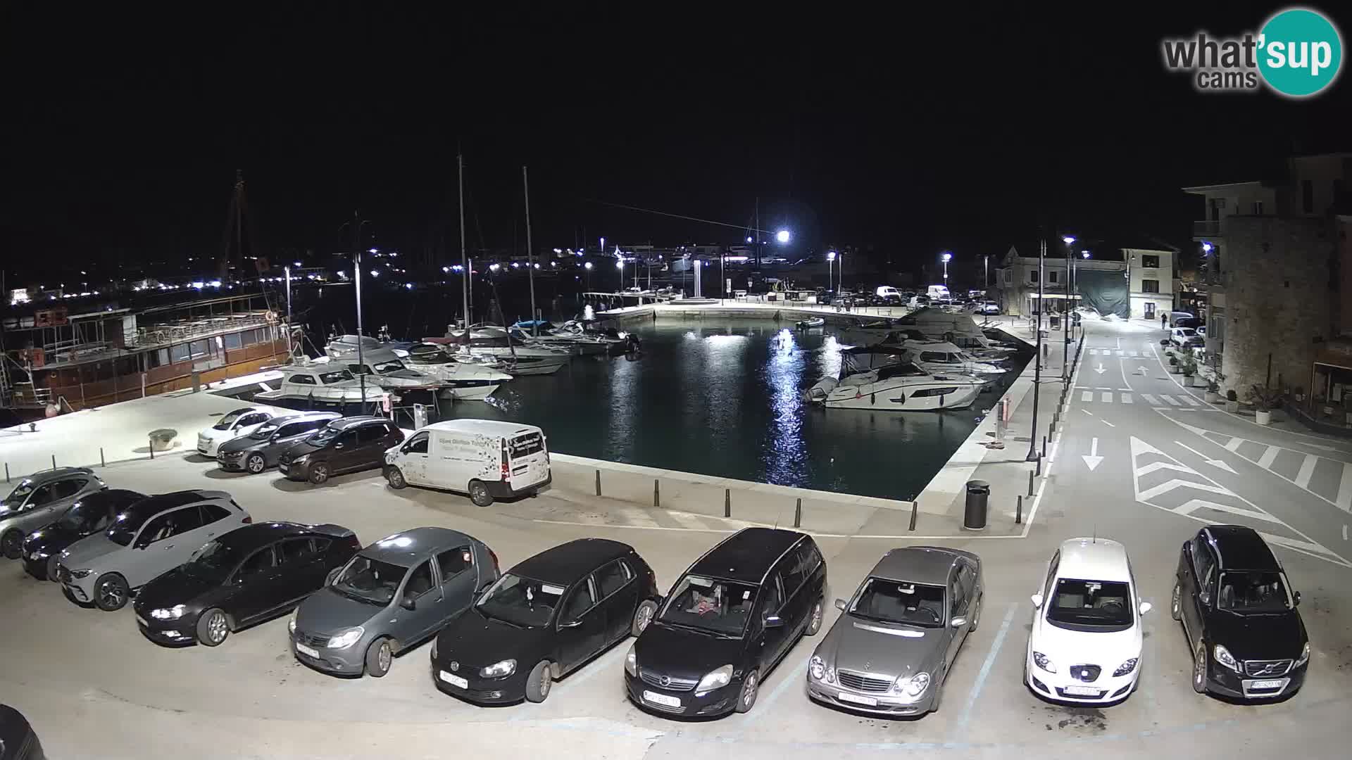 Novigrad | Porporela marina