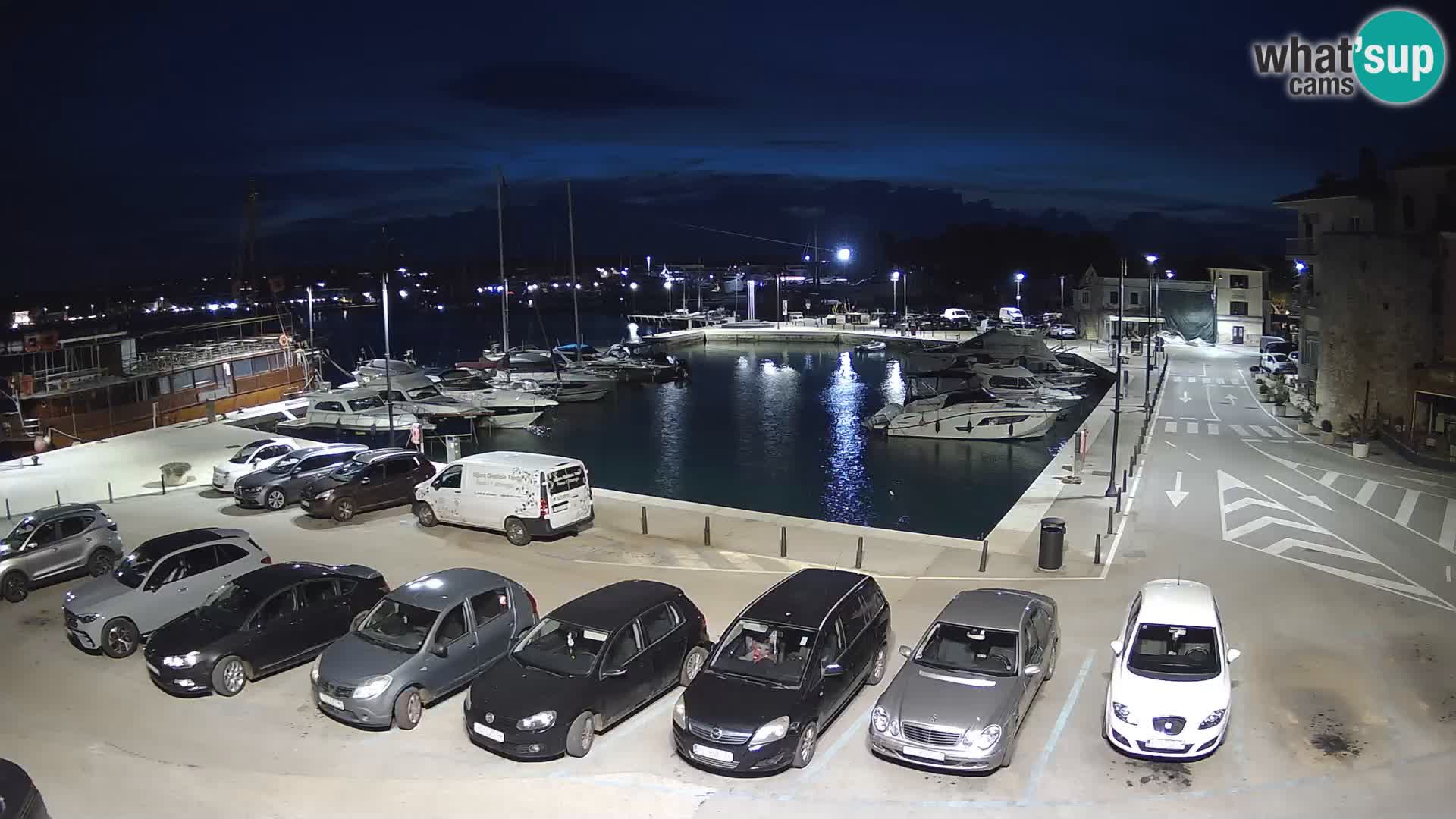 Novigrad | Porporela marina