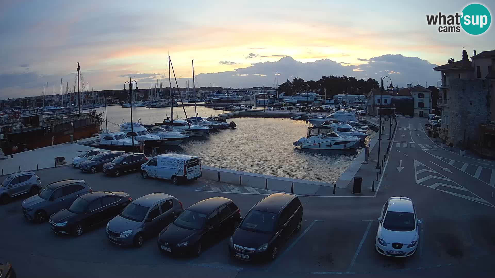 Novigrad | Porporela marina