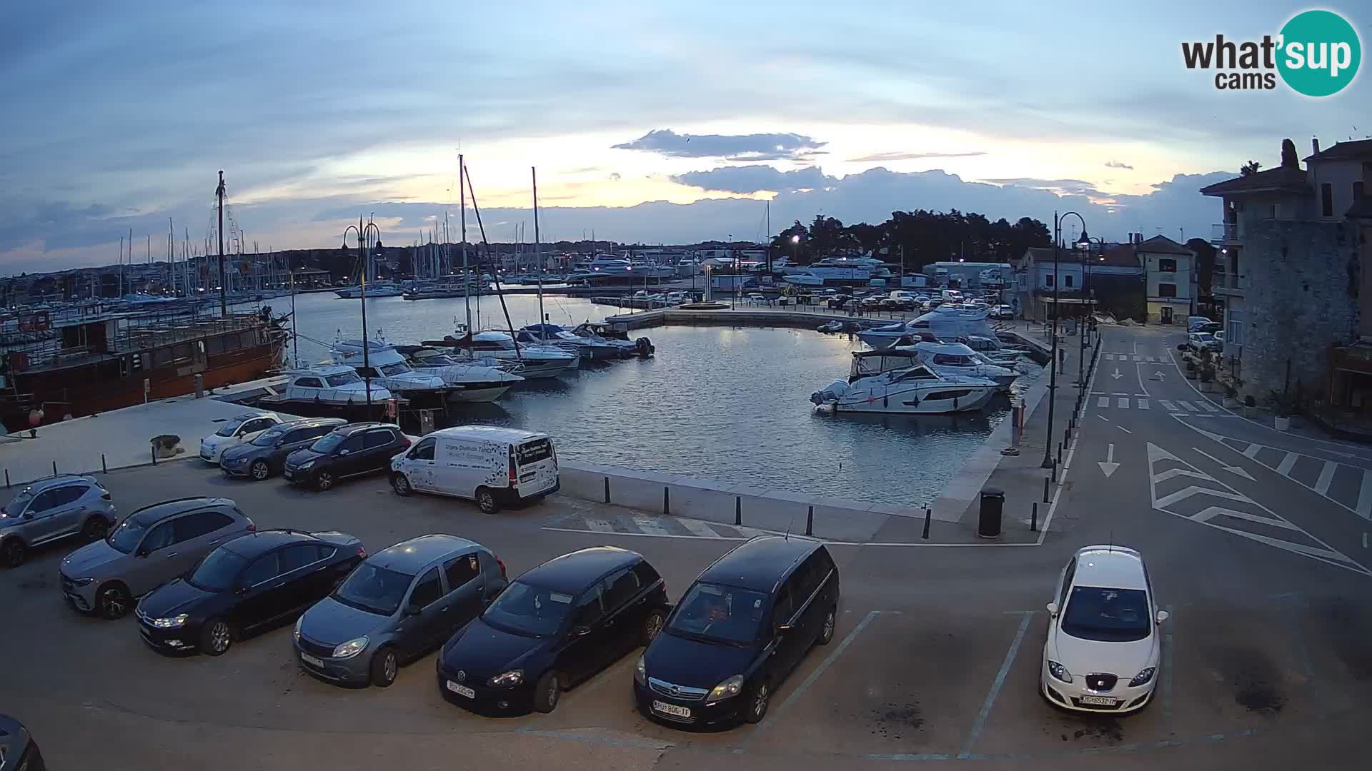 Novigrad | Porporela marina