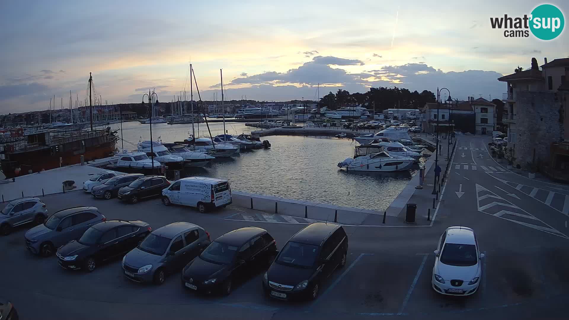 Novigrad | Porporela marina