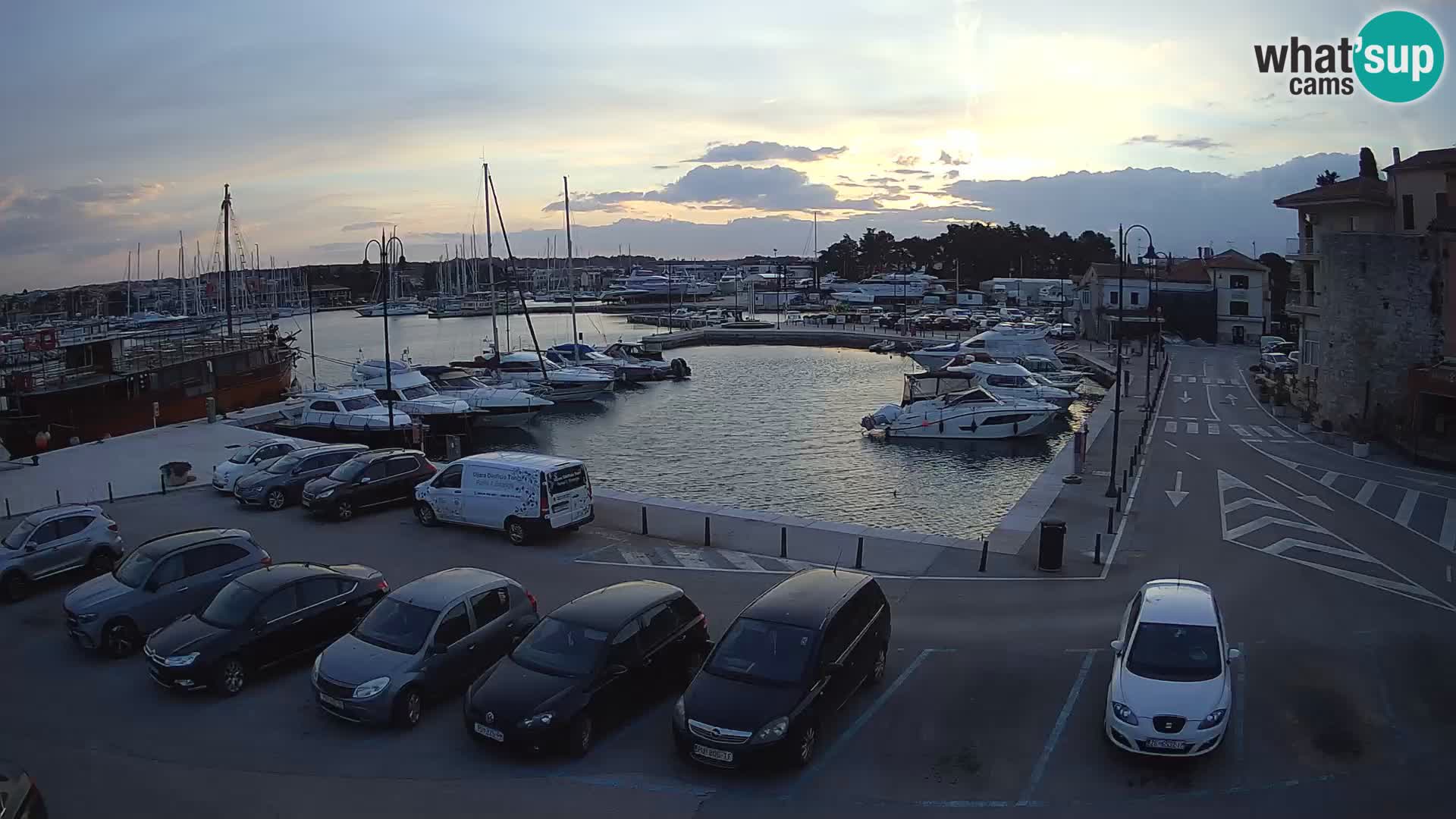 Novigrad | Porporela marina