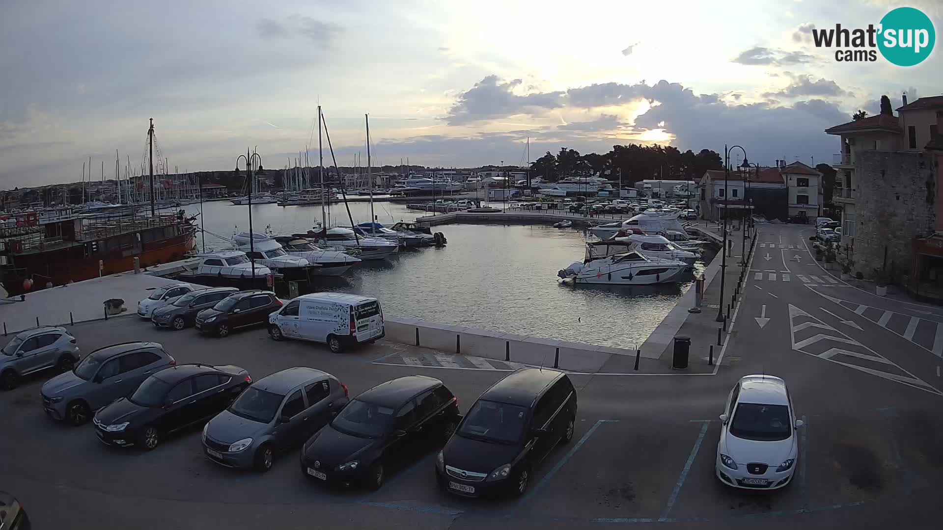 Novigrad | Porporela marina