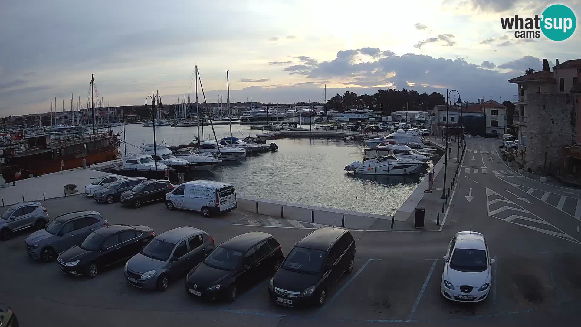 Novigrad | Porporela marina