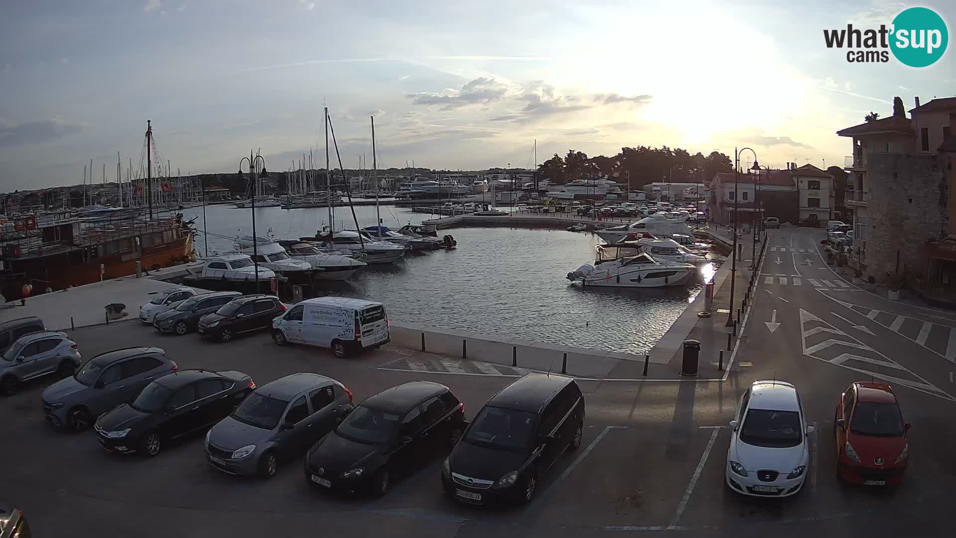 Novigrad | Porporela marina