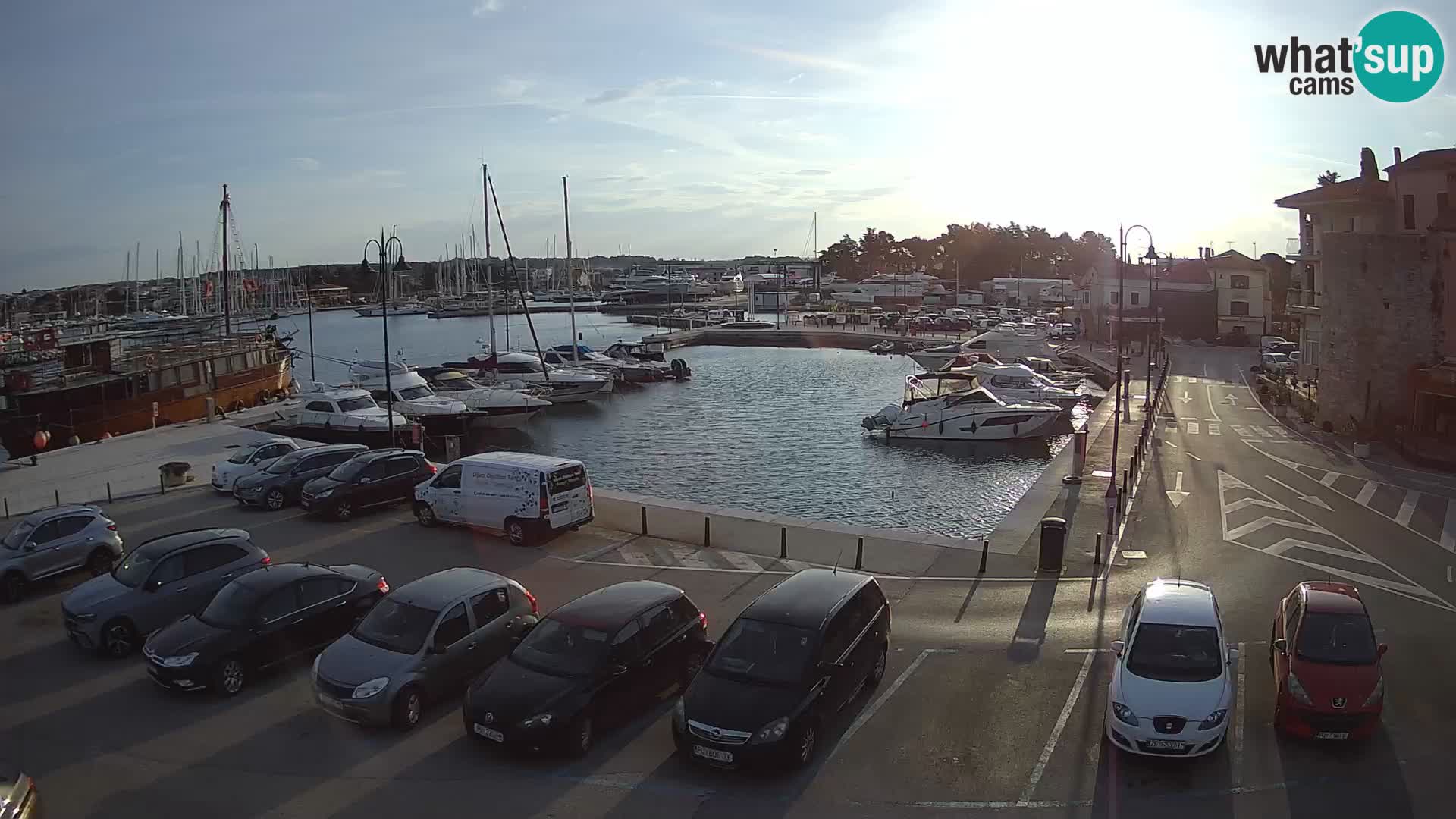 Novigrad | Porporela marina