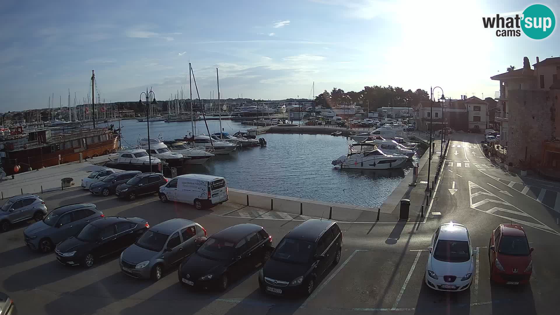 Novigrad | Porporela marina