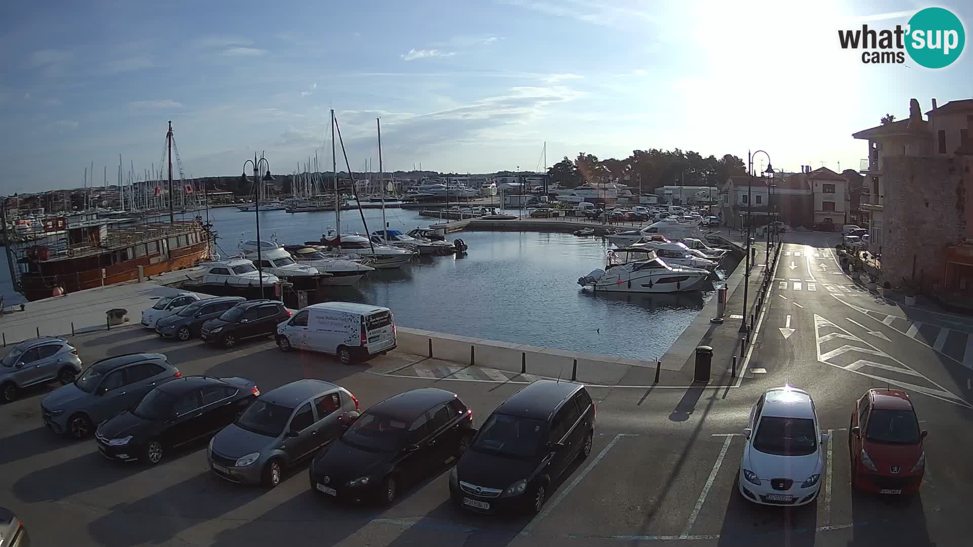 Novigrad | Porporela marina