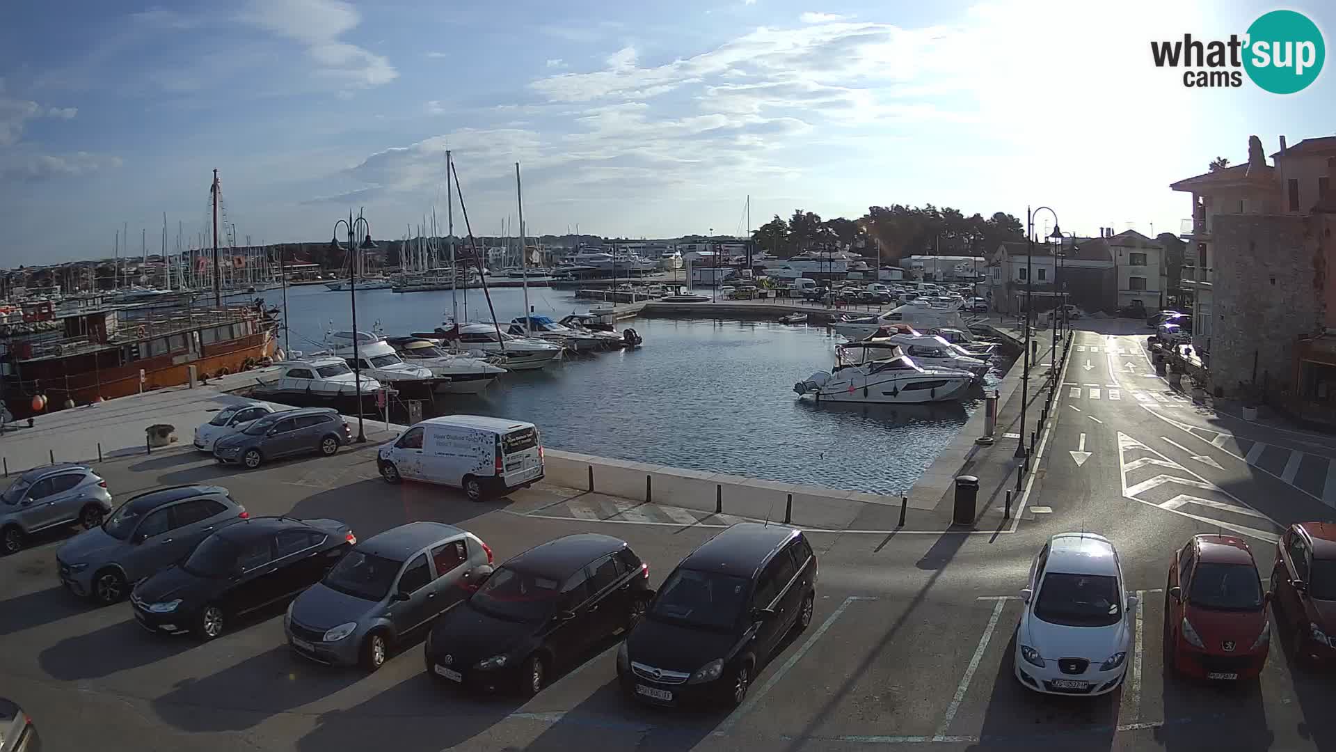 Novigrad | Porporela marina