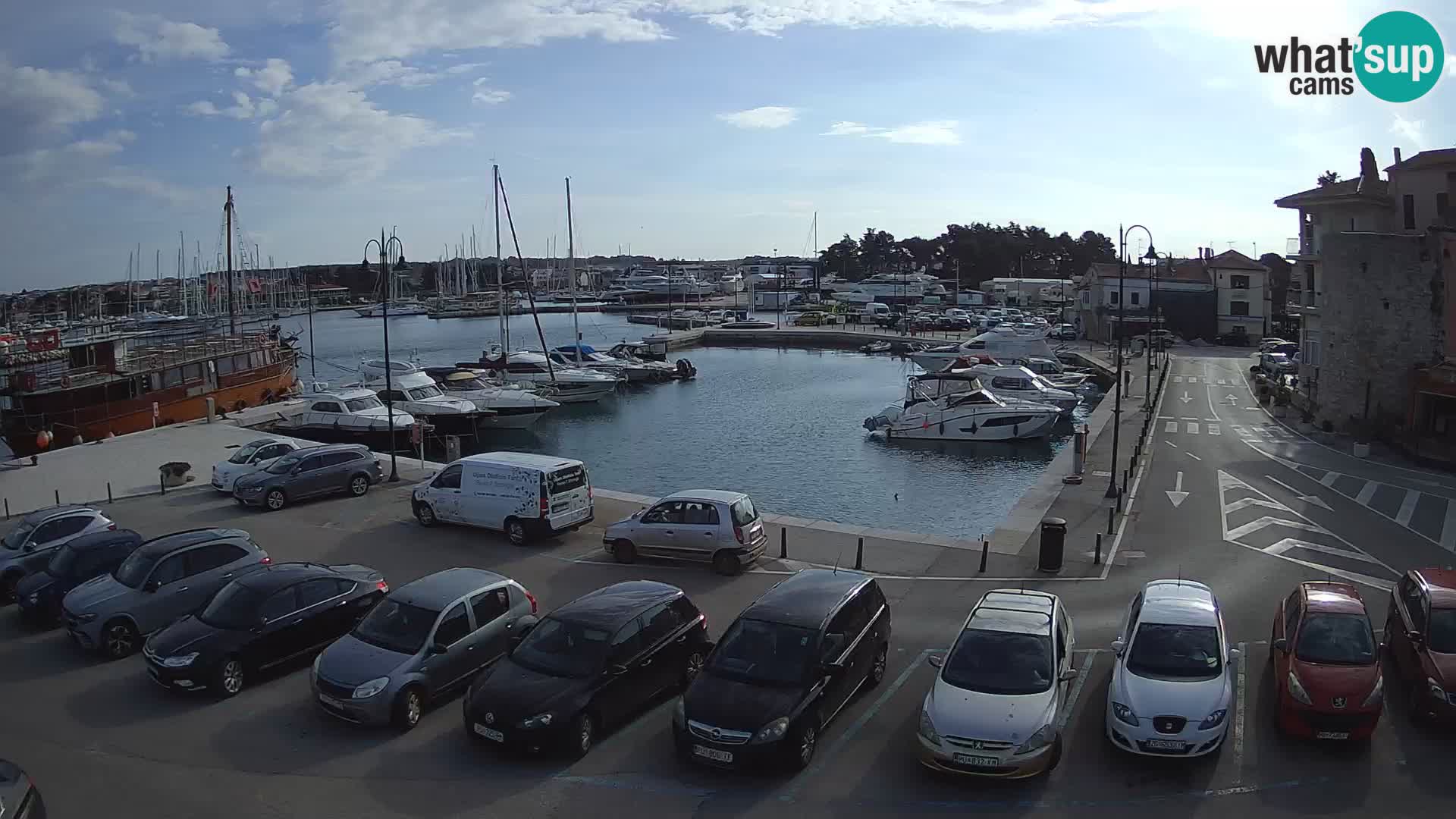 Novigrad | Porporela marina