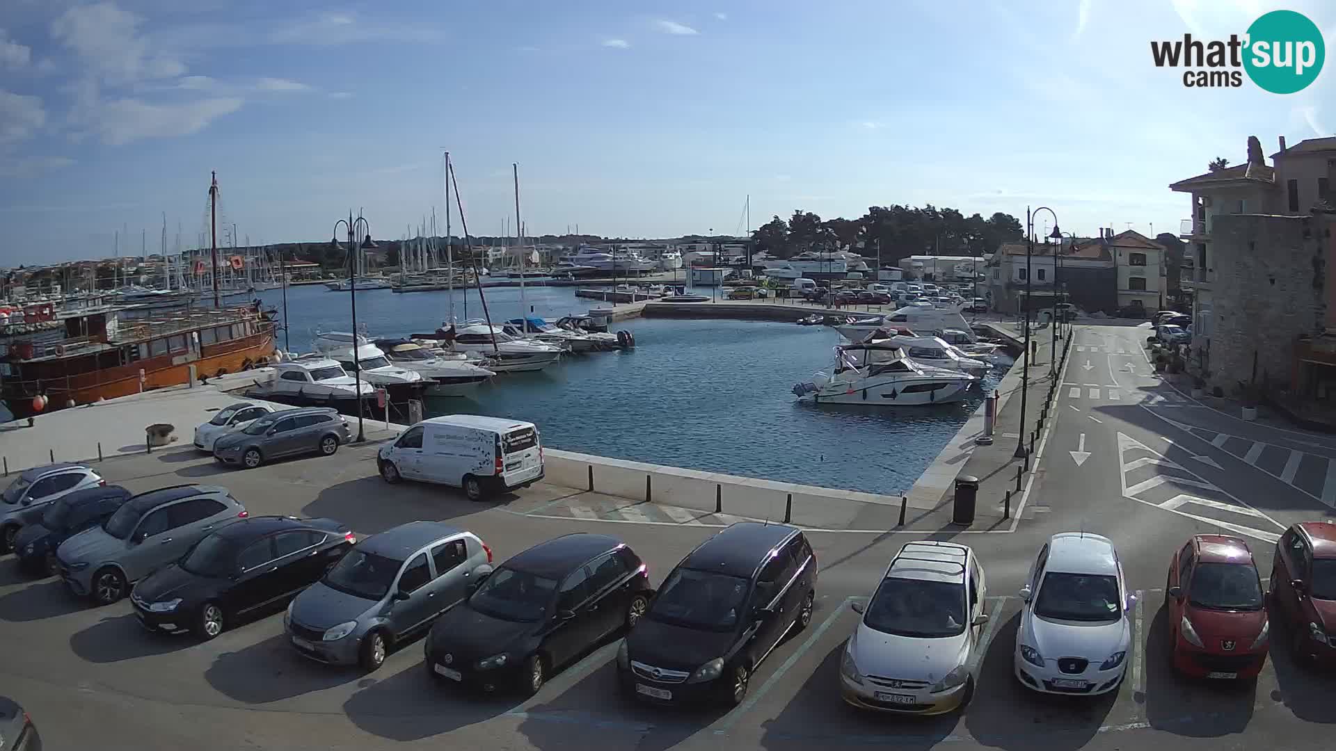 Novigrad | Porporela marina